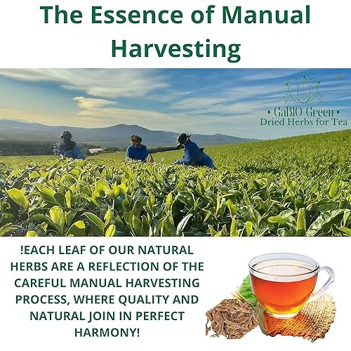 Miniatura 3 de Cancerina Hierba Mexicana (1 libra16.1 oz de hierbas de té, Calluna Vulgaris, Anáhuac Cancerian (16.1oz)