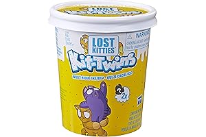 Itty Bitty Lost Kitties Surprise Pack Kit-Twins