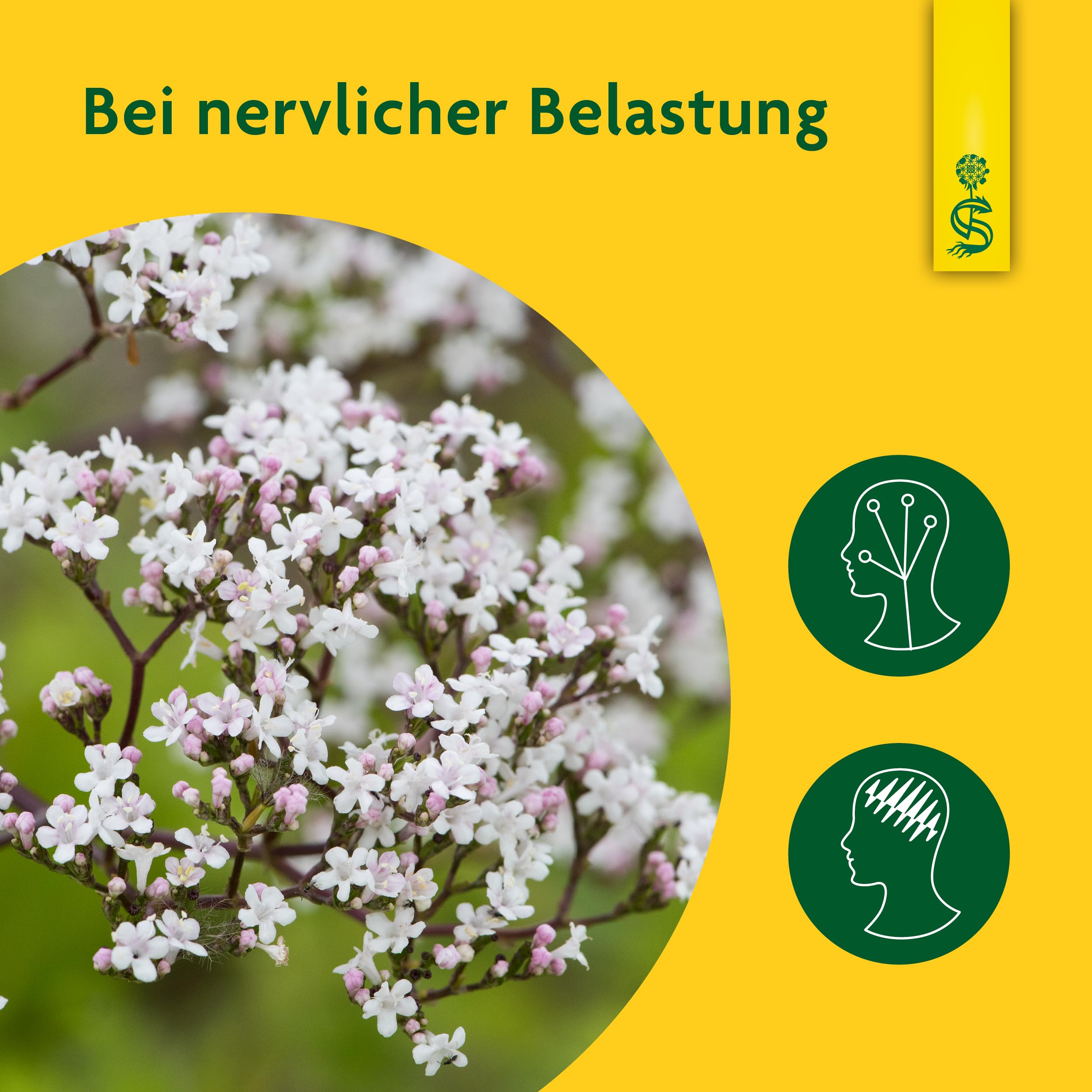 Schoenenberger - Baldrian naturreiner Heilpflanzensaft - 3x 200 ml (600 ml) Glasflaschen - zur Besserung des Befindens bei nervlicher Belastung - freiverkäufliches Arzneimittel
