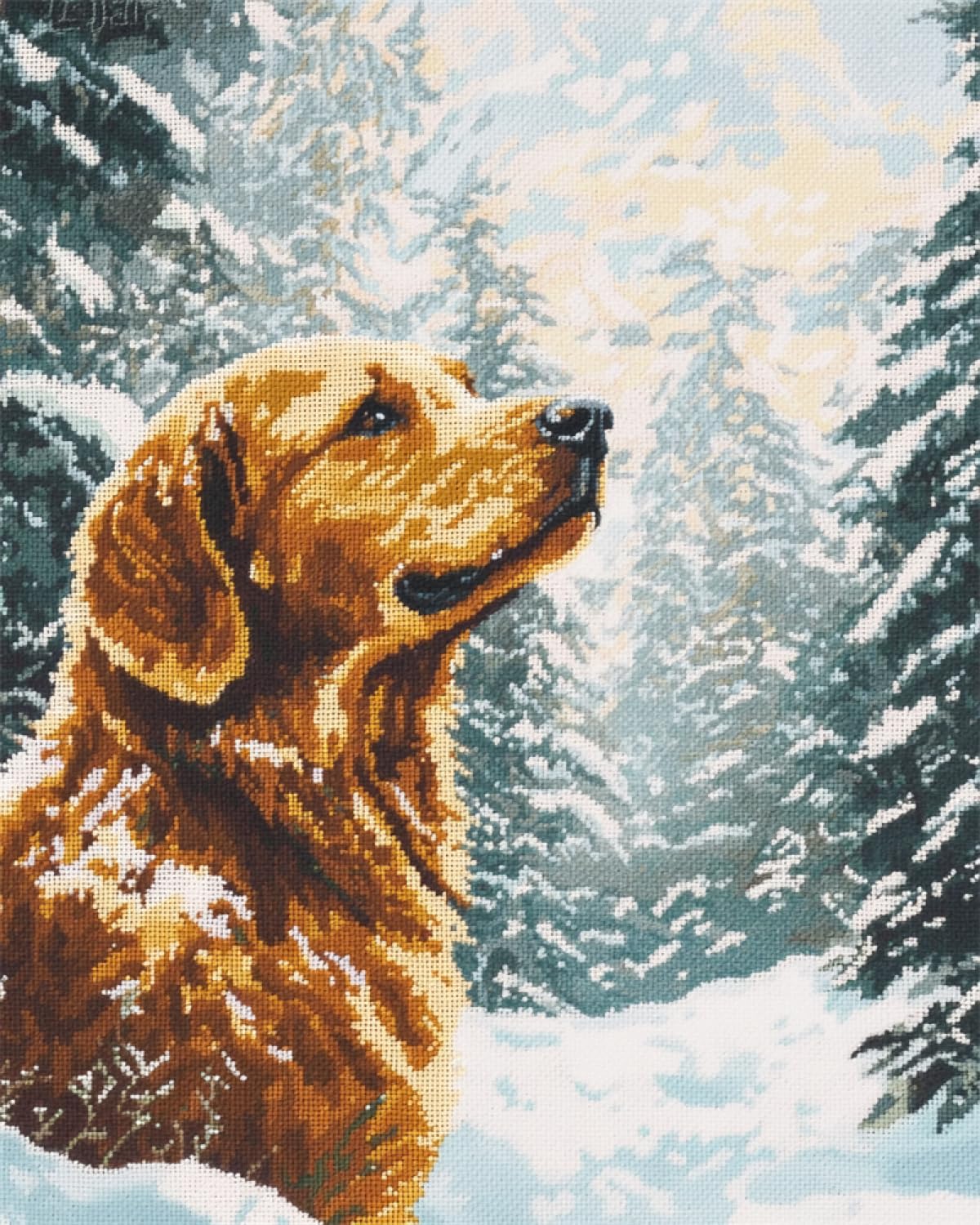Ayaoyanggo Color 11Ct Stamped Cross Stitch Golden Retriever In The Snow Embroidery Kit Dog Animal And Landscape Cross Stitch Kits For Adults With Needles Scissor Threaders Preprint For Home Wall Decor 40X50cm