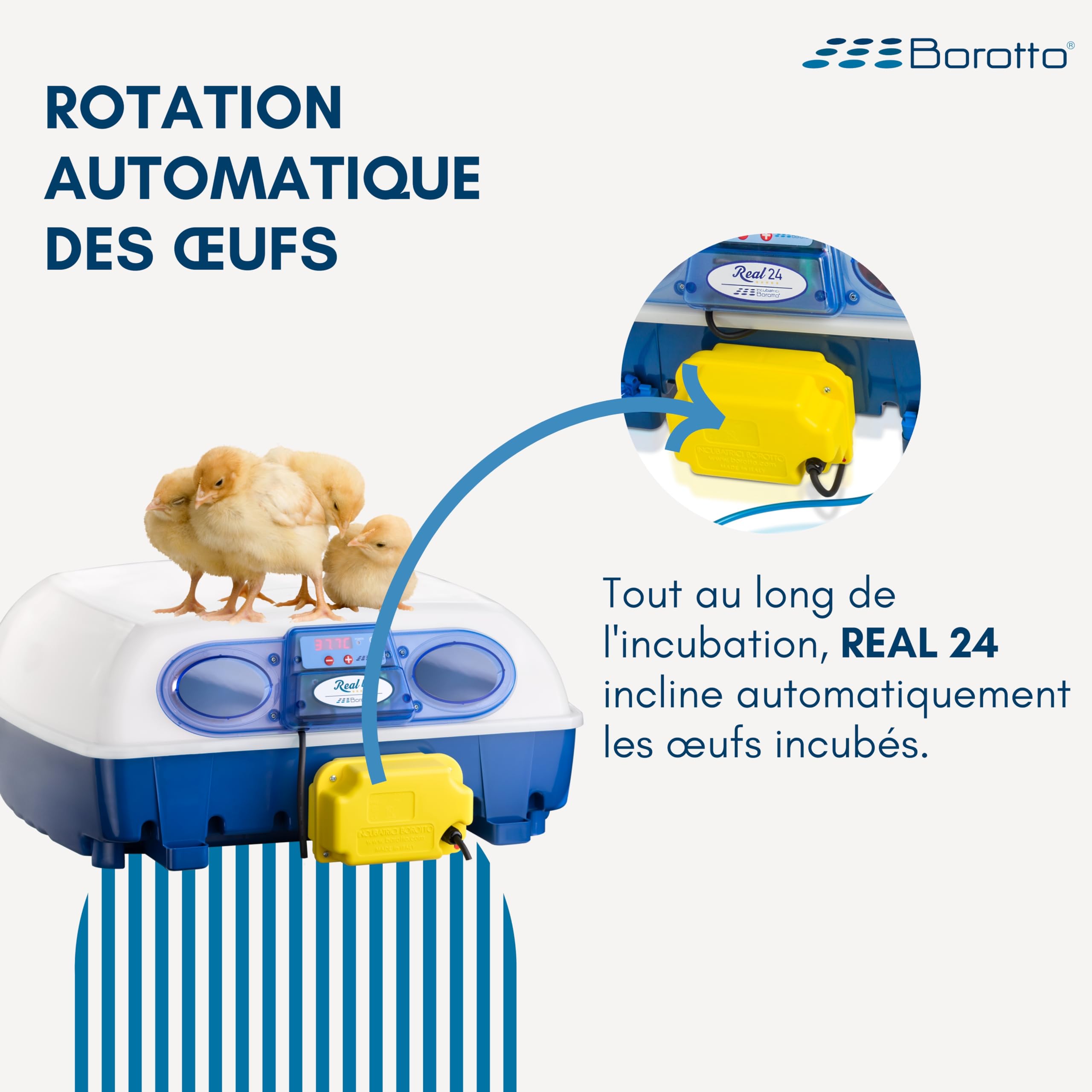 Borotto Real 24 Expert | Couveuse Oeuf Automatique 24 Oeuf ou 96 Petit avec Retournement Automatique, Contrôle de la Température et Humidificateur Automatique Sirio | Made in Italy