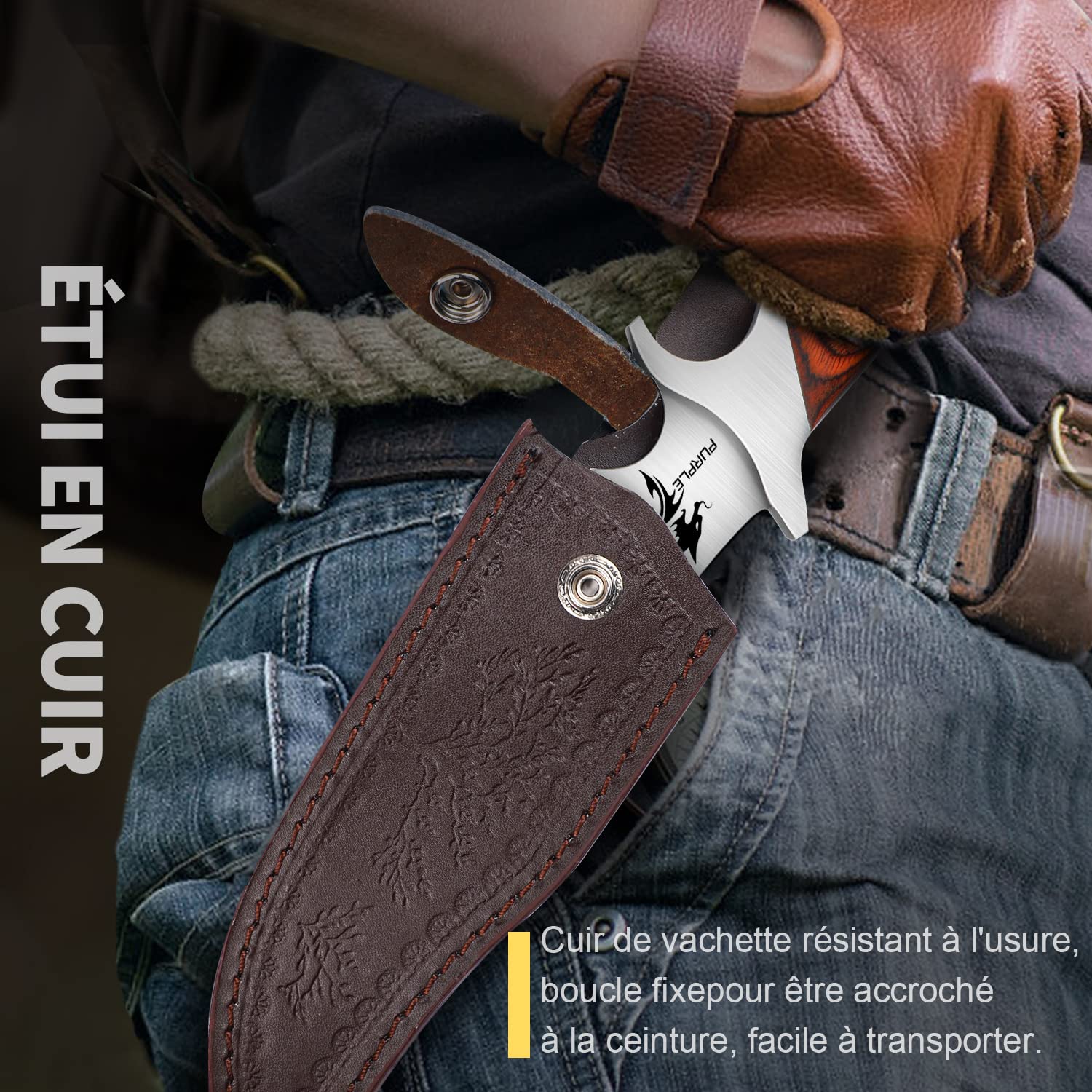 Purple Dragon Lame fixe de couteau de survie en plein air, cadeau d'extérieur pour homme