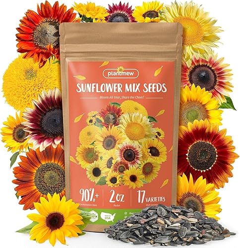 Semillas de girasol para plantar