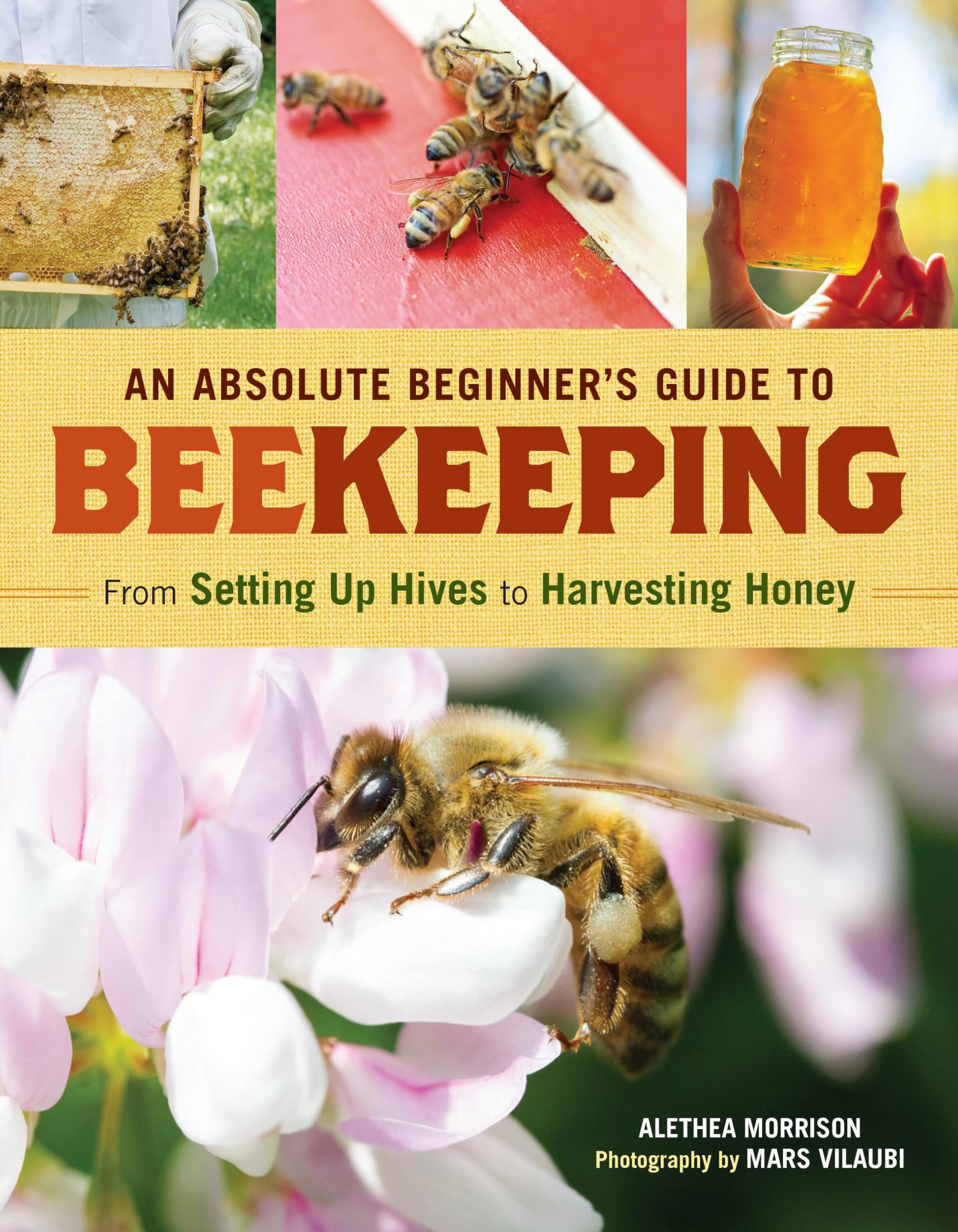 An Absolute Beginner's Guide to Beekeeping: From Setting Up Hives to Harvesting Honey