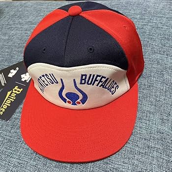 【日本製】近鉄バファローズ　キャップ　希少カラー【デサント製】 Amazon.co.jp: 近鉄バファローズ キャップ 帽子 デサント製