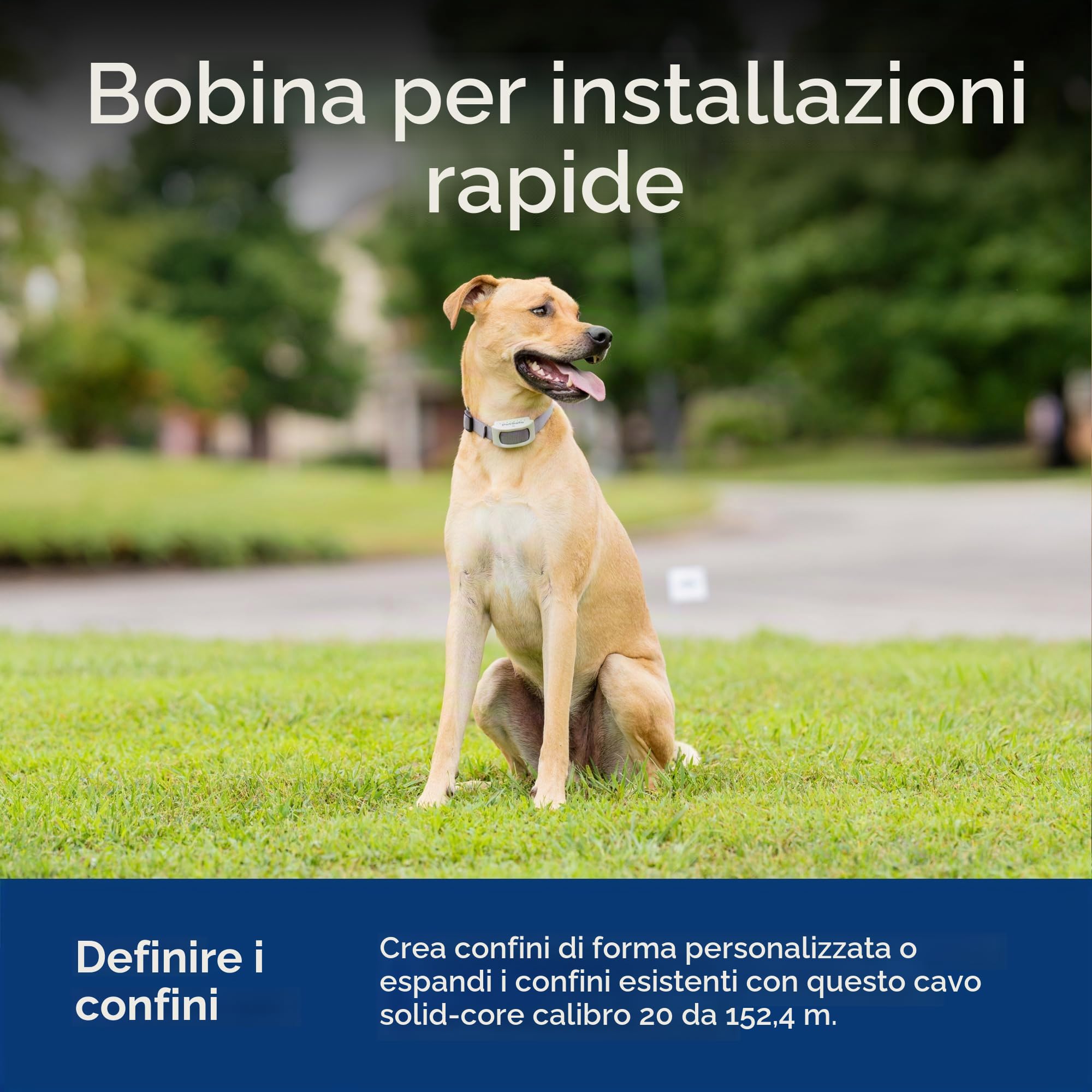 PetSafe Filo per Recinzione interrata per Cani (152,4 m), Crea Il Tuo Confine, Filo per Recinzione elettrica per Cani (Giallo), dalla società Madre di IFB