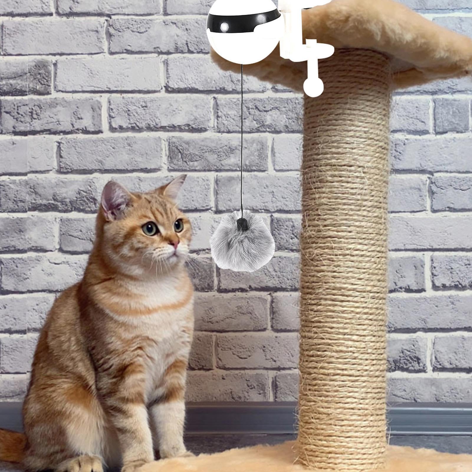 Giocattolo Interattivo Per Gatti Da Appendere Alla Porta – Con Topolini E Telecomando, Gioco Automatico