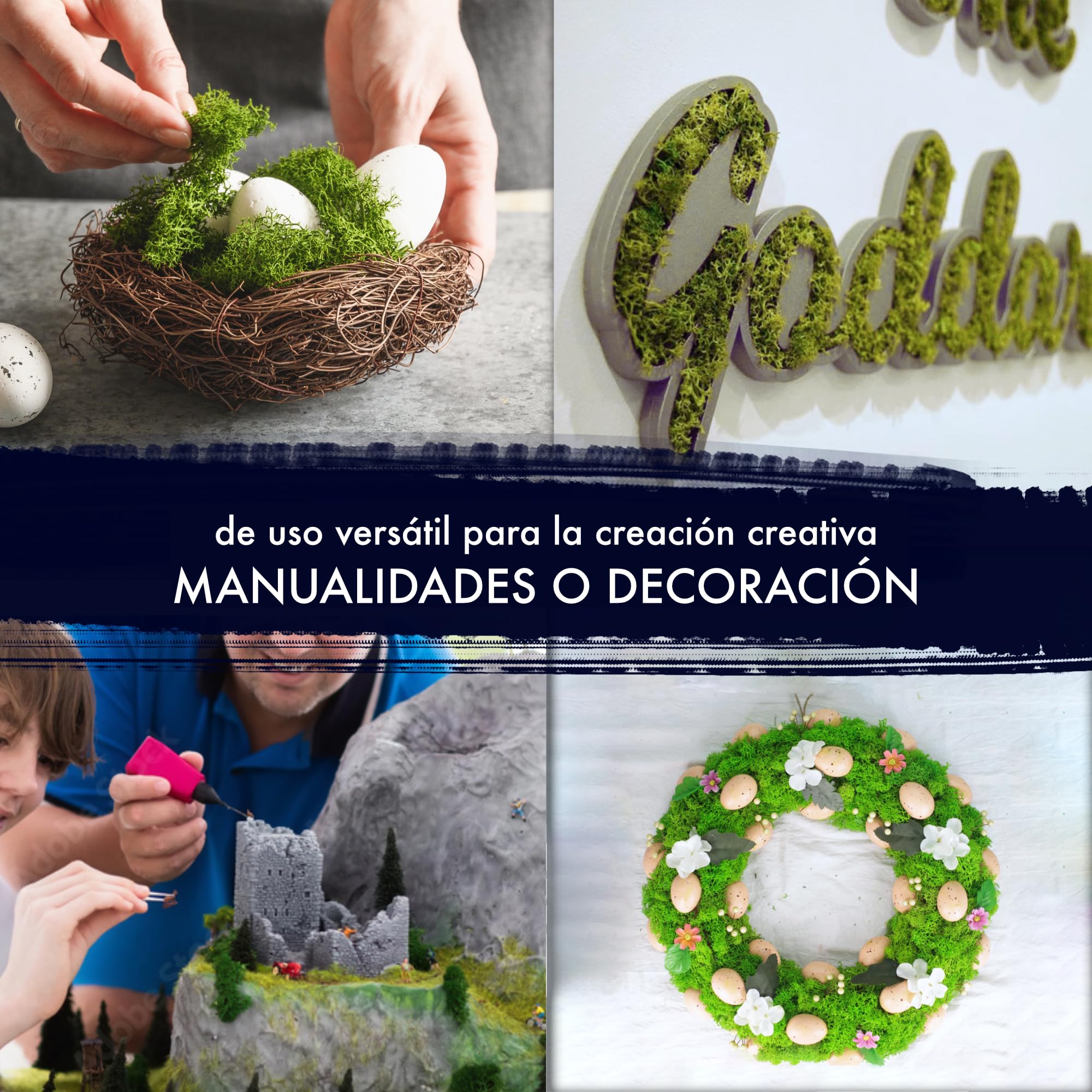 GJS Musgo islandés Natural conservado – auténtico Musgo Decorativo en 200g/500g/1kg/4kg para Cuadros, Manualidades, decoración y terrarios (Verde Claro, 4kg)