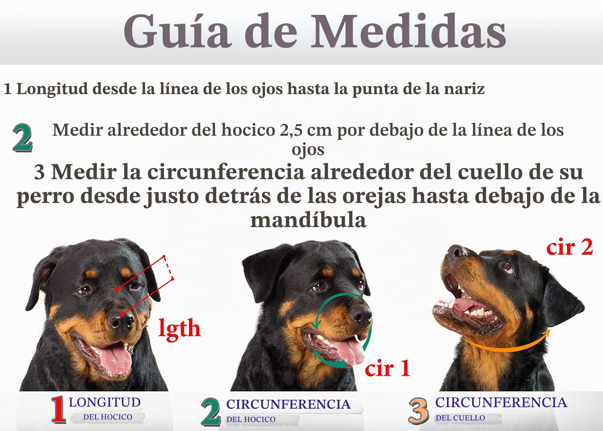 Bozales de Metal para Perro Rottweiler (№3) - Cesta de Alambre Correas de Cuero Ajustables de Cuero - La Circunferencia del hocico es de 27-38 cm de Longitud es de 6,8-9,4 cm