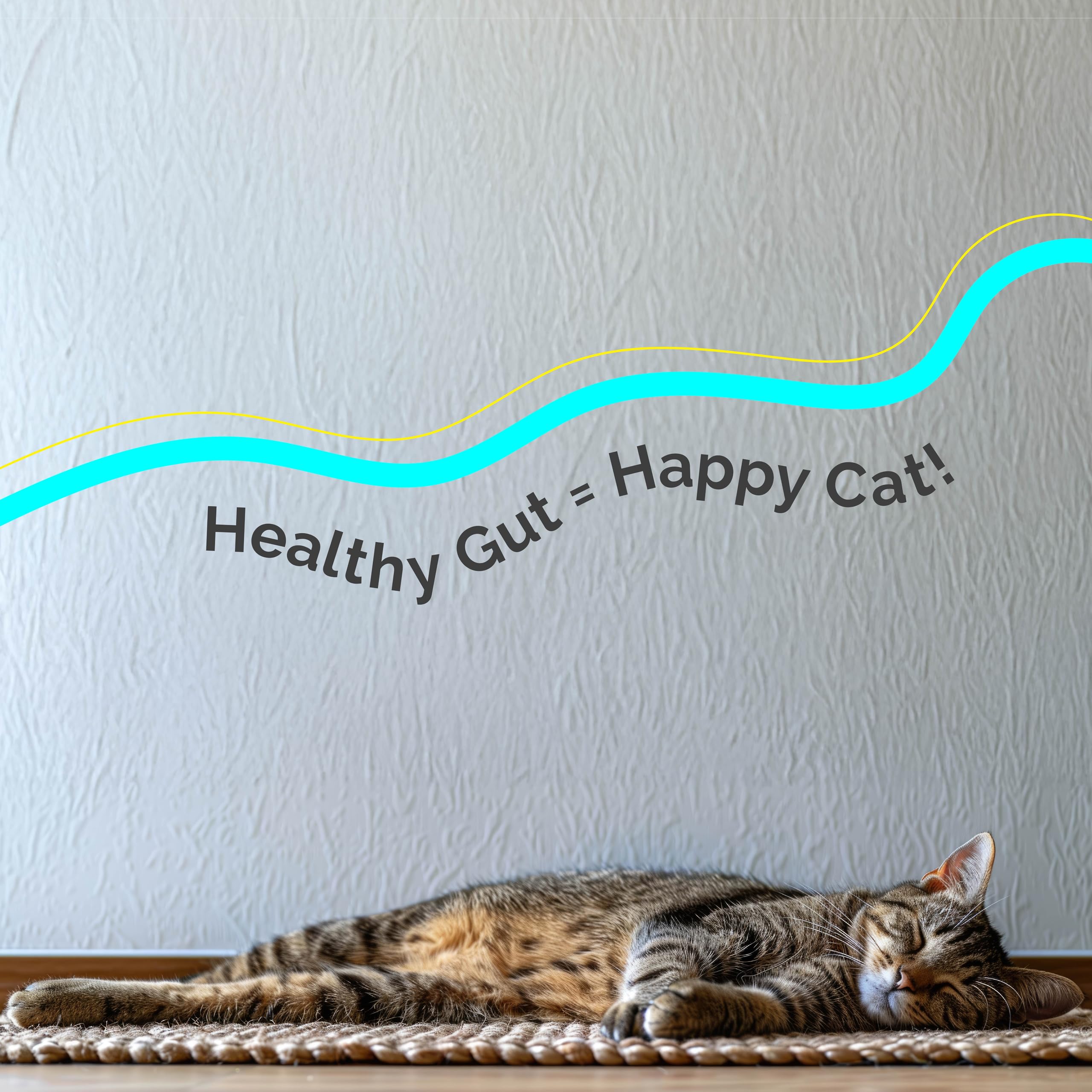 Digestive Health & Immune Support Supplement Probiotic Powder for Indoor and Outdoor Cats | 6 Billions CFUs Probiotic Powder for Pets | Veterinarian Recommended | Great Tasting Formula - image 5