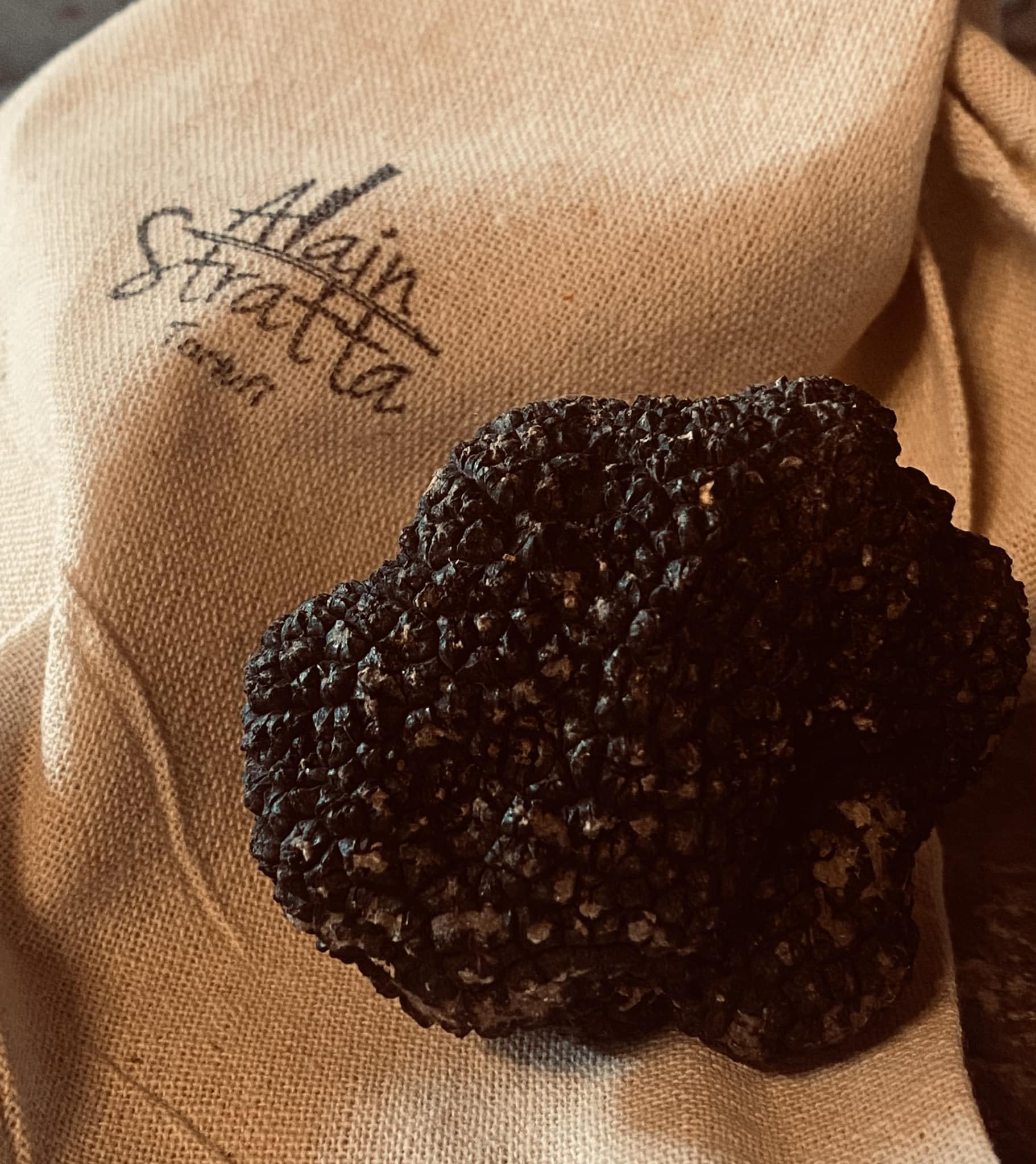 200 grammi di Tartufo Nero Uncinato fresco di prima scelta – Tuber Uncinatum Chatin – Origine del tartufo ITALIA (200 g)