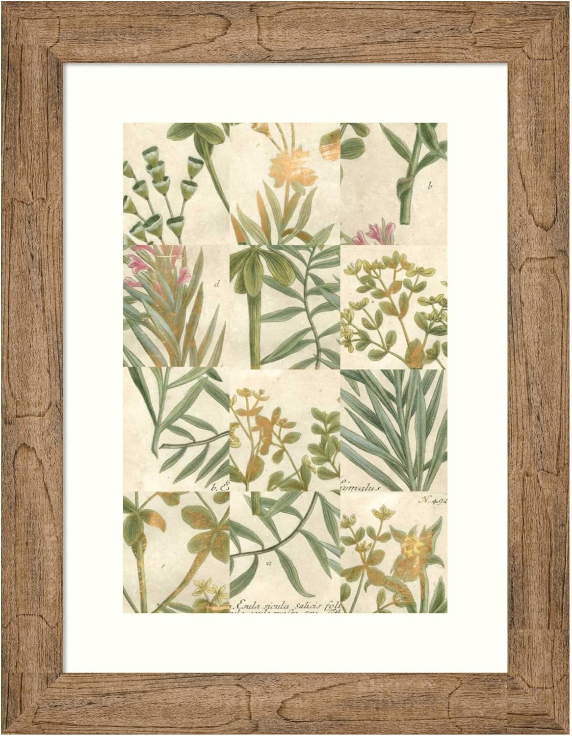 Amanti Art Framed Wall Art Print 24×18 Garden Grid II by Johann Wilhem Weinmann, Flowers Wall Art, Vintage Decor, Small Poster Painting Artwork for