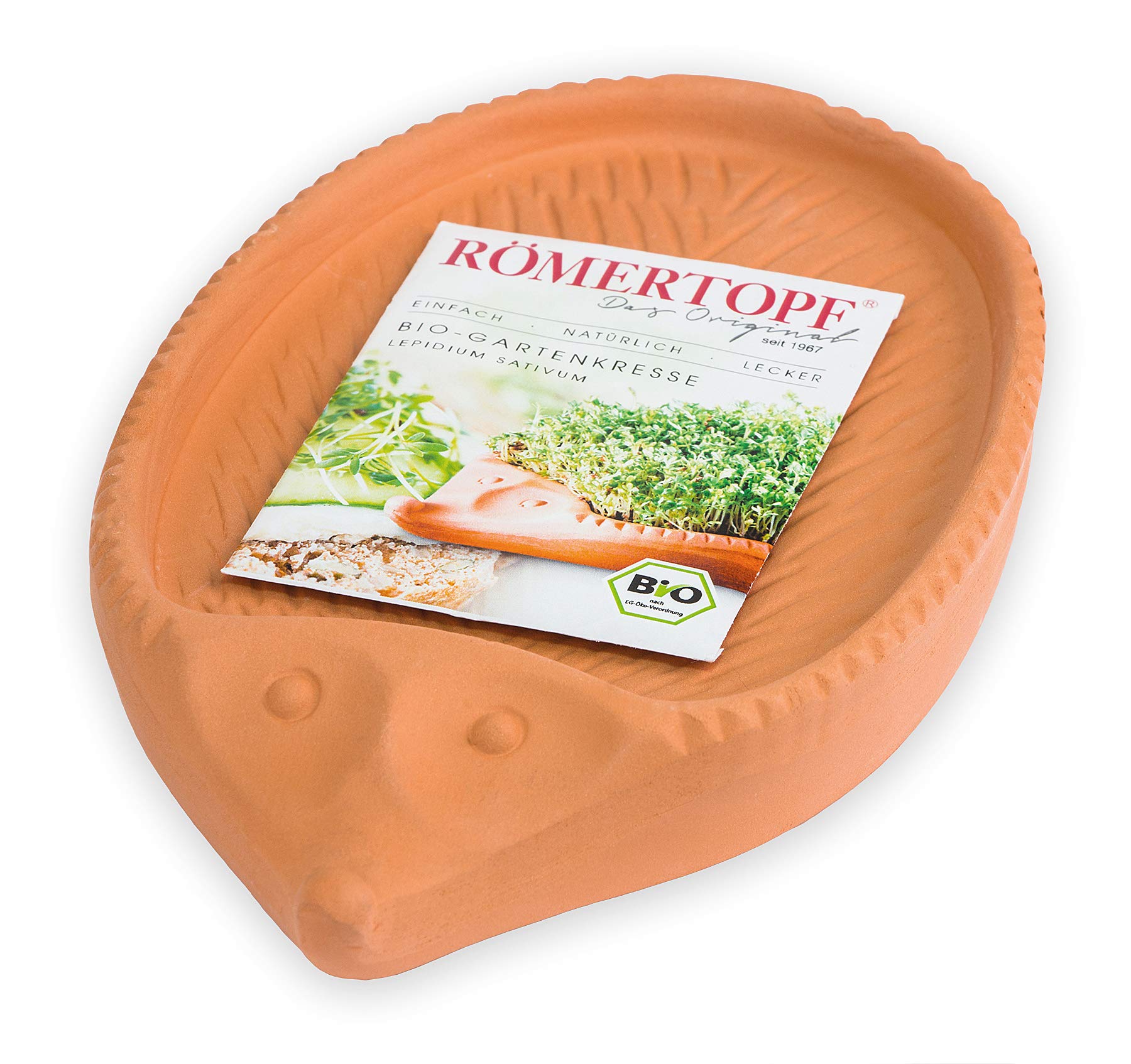 Römertopf Riccio Porta-Crescione in Terracotta Naturale – Semenzaio con Semi di Crescione, Coltivazione senza Terra, ca. 24 x 14 cm, Lavabile in Lavastoviglie, Idea Regalo per Bambini
