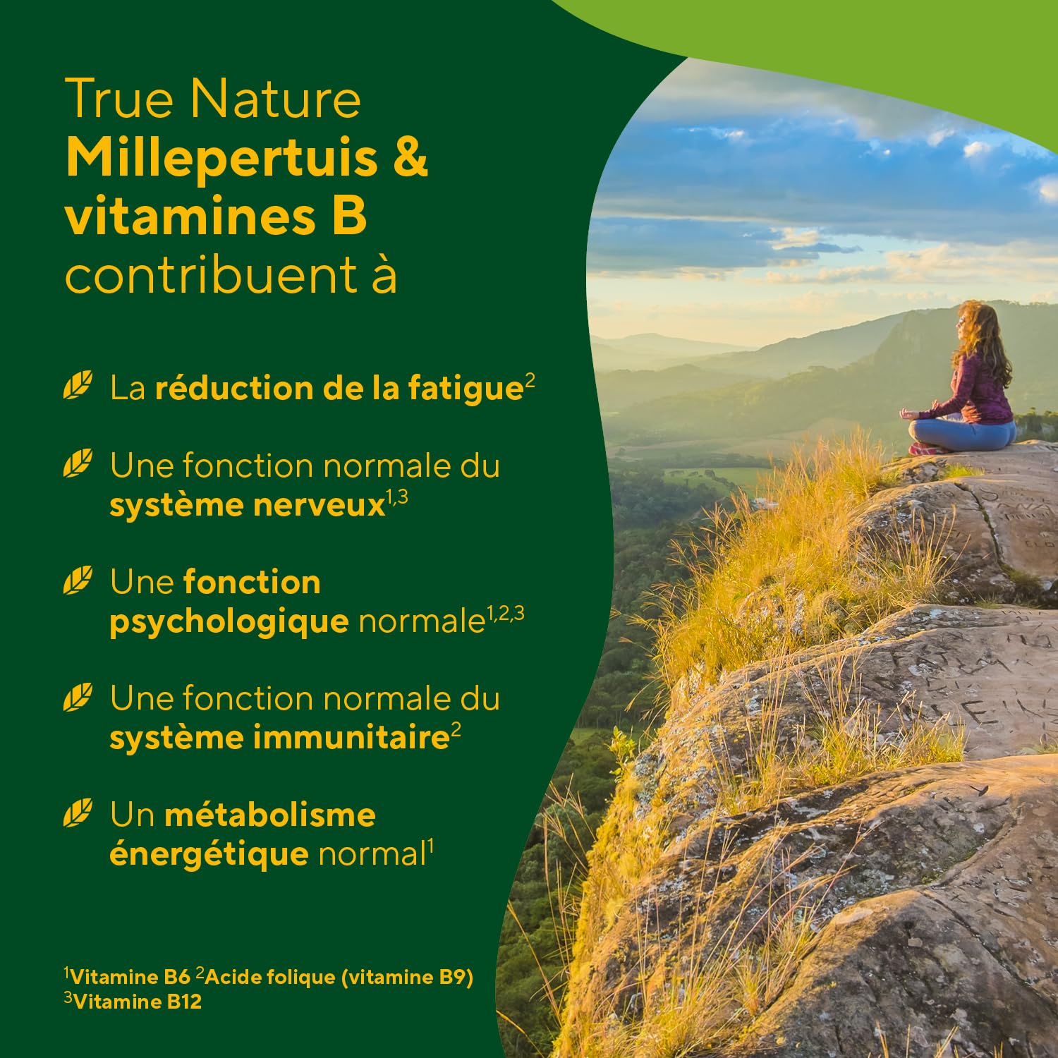 Millepertuis - 5000mg (10:1) par unité | 240 Gélules pour 8 Mois | Bonne Humeur, Anti-Stress & Sommeil | + Vitamines B6, B12 & Acide Folique | Sans Additifs, Gluten & Lactose | TRUE NATURE