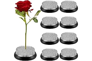 WILLBOND Flower Frogs, a Floral Arranger's Essential Tool