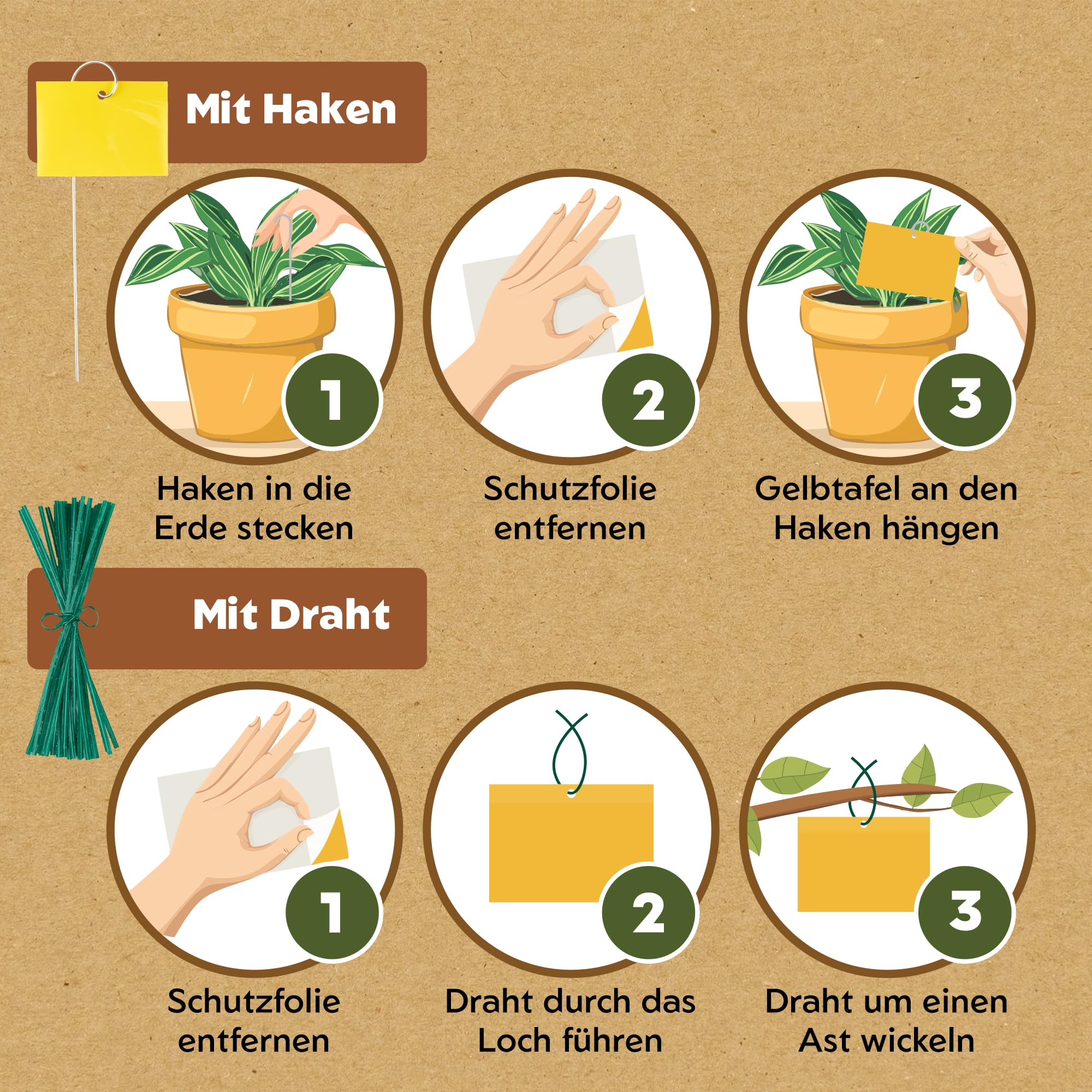 saatgut wicken Blumensamen Stauden-Wicken Mischung von Quedlinburger SAATGUT