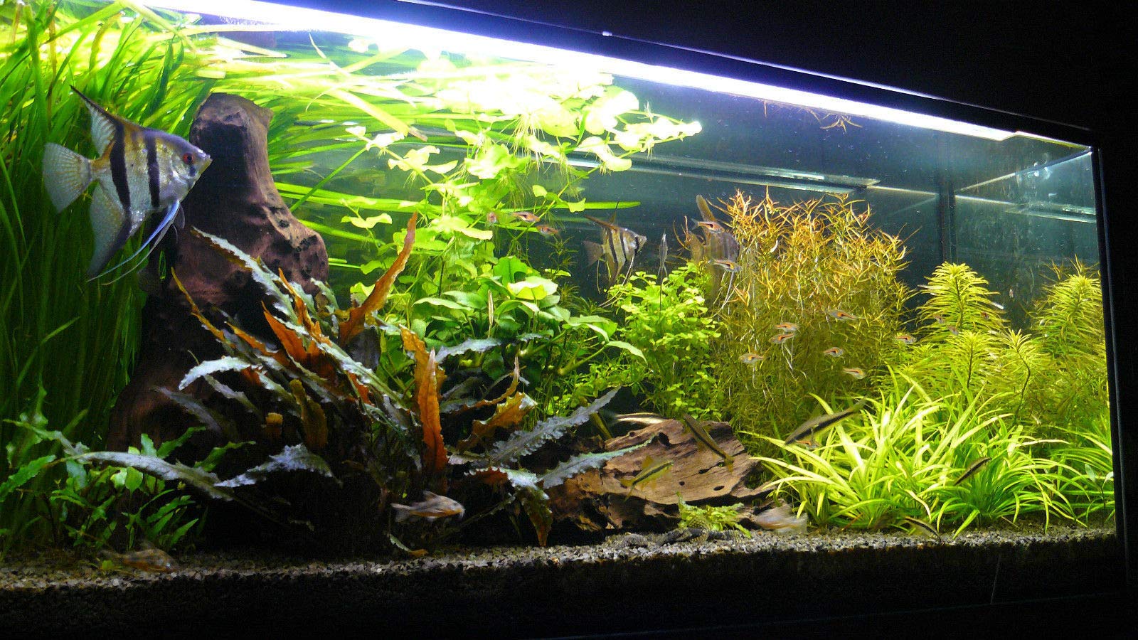 View 6