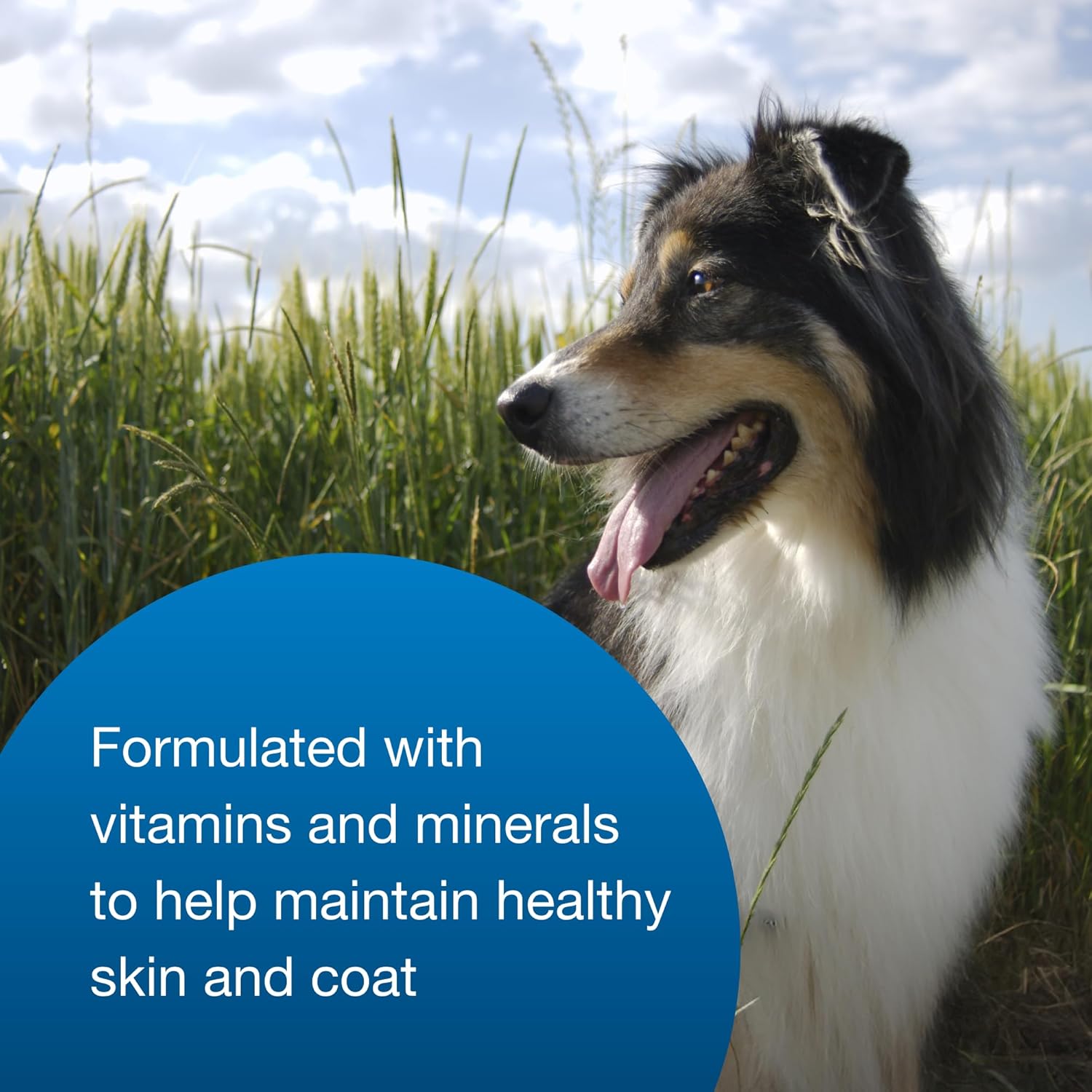 PetAg High Calorie Gel Supplement for Dogs - 5 oz, Pack of 2 - Chicken Flavor - Provides Extra Calories for Dogs 8 Weeks and Older - Easy to Digest