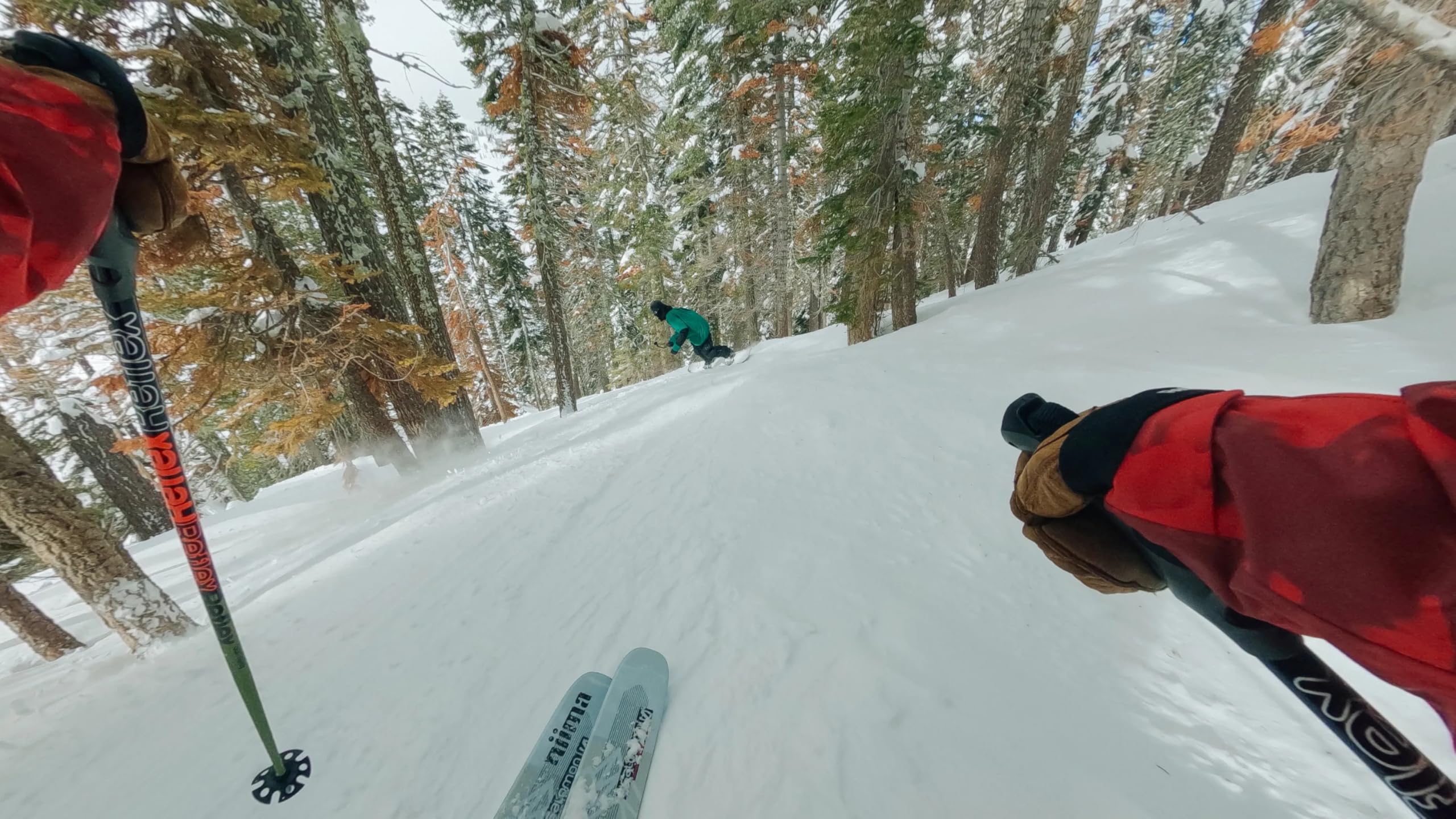 GoPro Chesty - Accesorio Oficial de GoPro