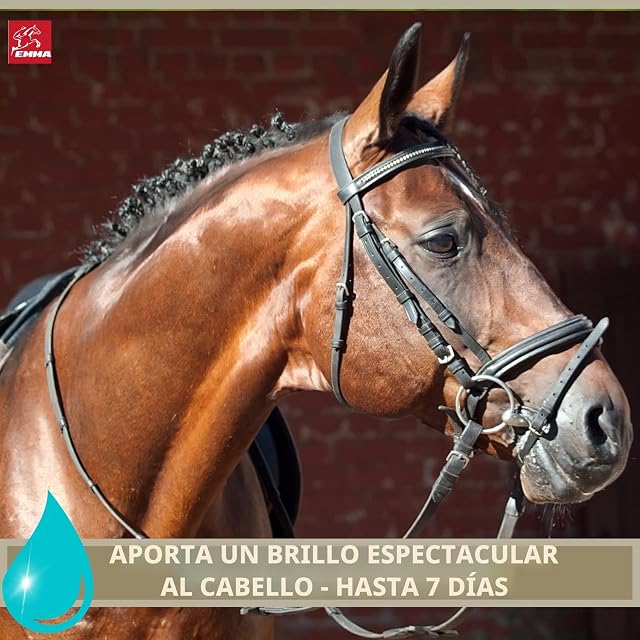 Foto 5 de 8 de Cuidado del Pelaje Caballo I Brillo Spray de Cola y Crin 500ml - Cuidado del Caballo