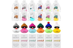 Inspirational Bulk Teacher, Employee, Coworker Appreciation Gift Set