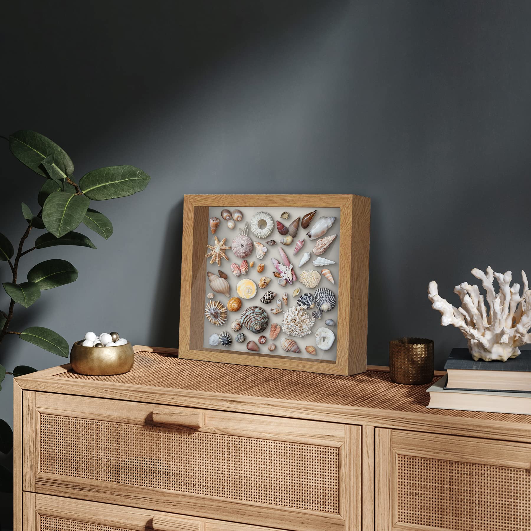 Amazon.co.jp: Americanflat シャドーボックスフレーム 11 x 11インチ