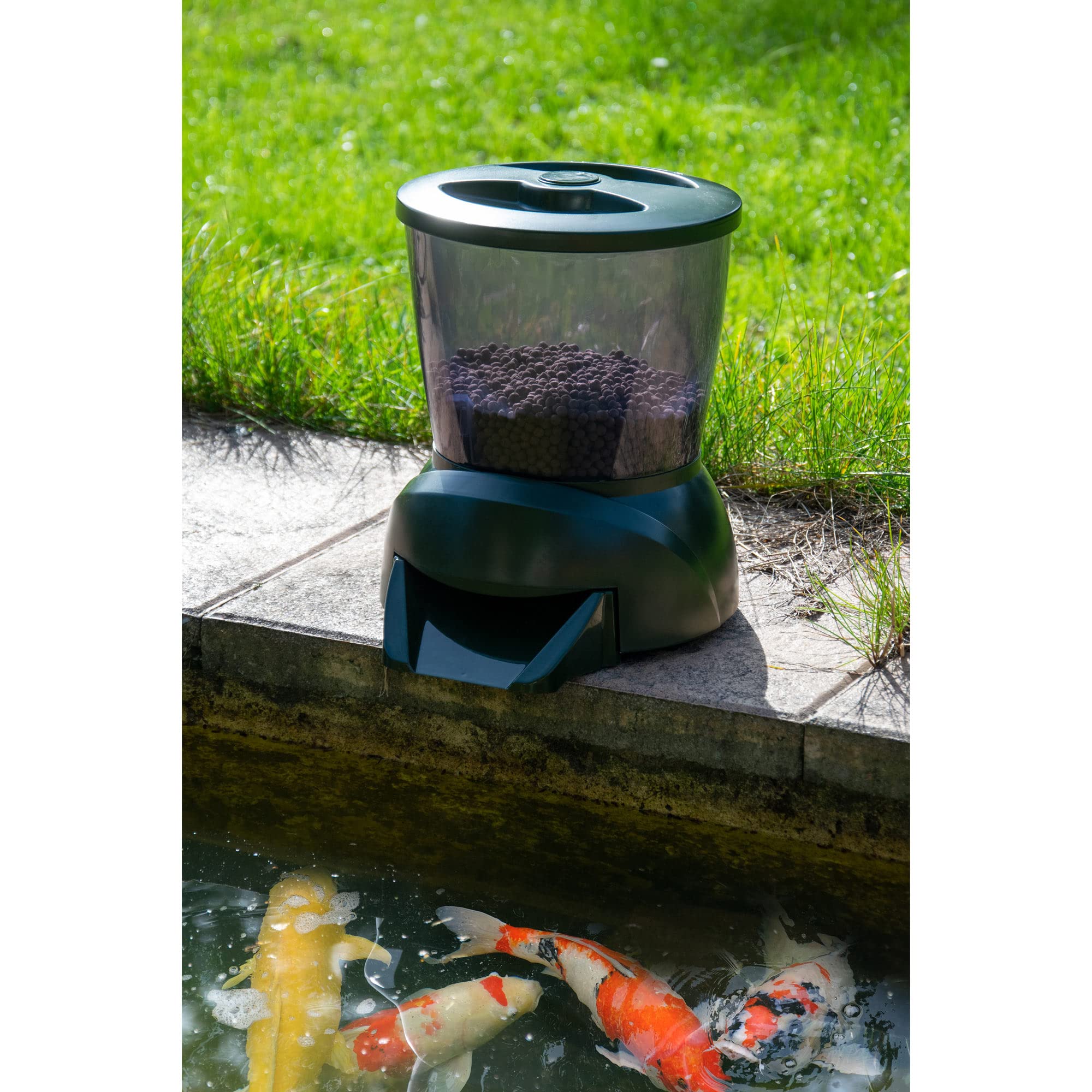 dobar® Programmierbarer Fisch-Futterspender mit LCD-Anzeige für draußen - Automatischer Fish Feeder - 22 x 22,5 x 26,5 cm - Grün