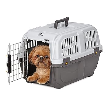 Midwest Homes for Pets Skudo Plastic Carrier, 22'