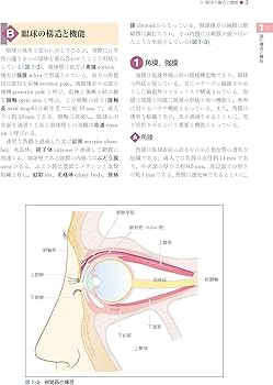 Amazon.co.jp: 標準眼科学 第15版 (Standard textbook) : 中澤 満