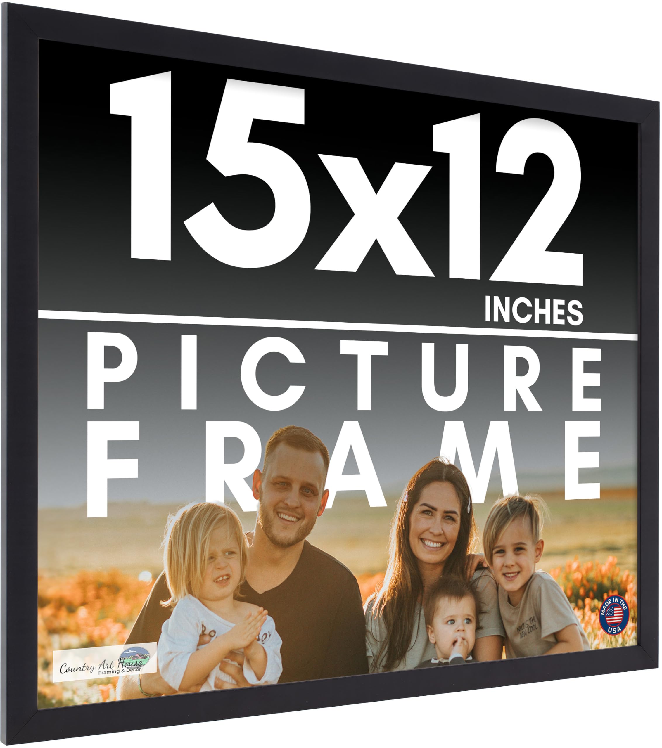 Amazon.com - 15x12 Frame Black Picture Frame - Complete Modern