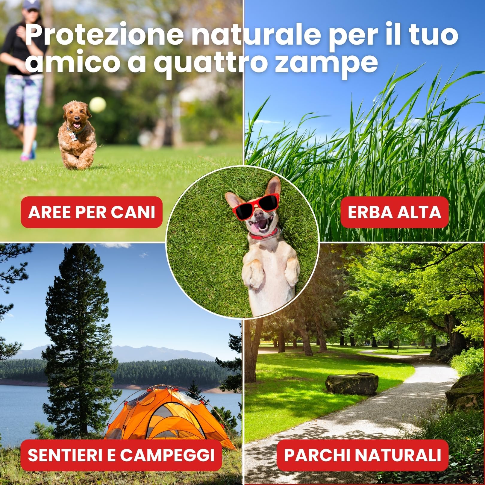 Pearson Total Shild Spray Huile de Neem pour chiens, Bouclier protecteur naturel à l'huile de Neem pour chats et chiens, flacon pulvérisateur écologique 250 ml, fabriqué en Italie.