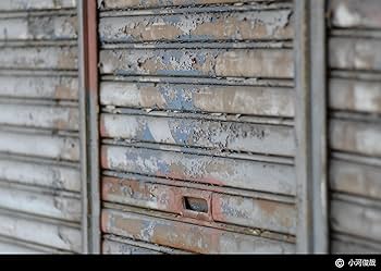 Amazon.co.jp: Kenko 単焦点レンズ MILTOL 200mm F4 キヤノン用