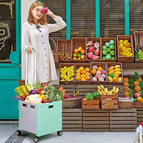 Miniatura 2 de Carrito de compras plegable portátil con rueda giratoria de 360, tapa oculta, mango telescópico plegable para viajes, compras, almacenamiento en