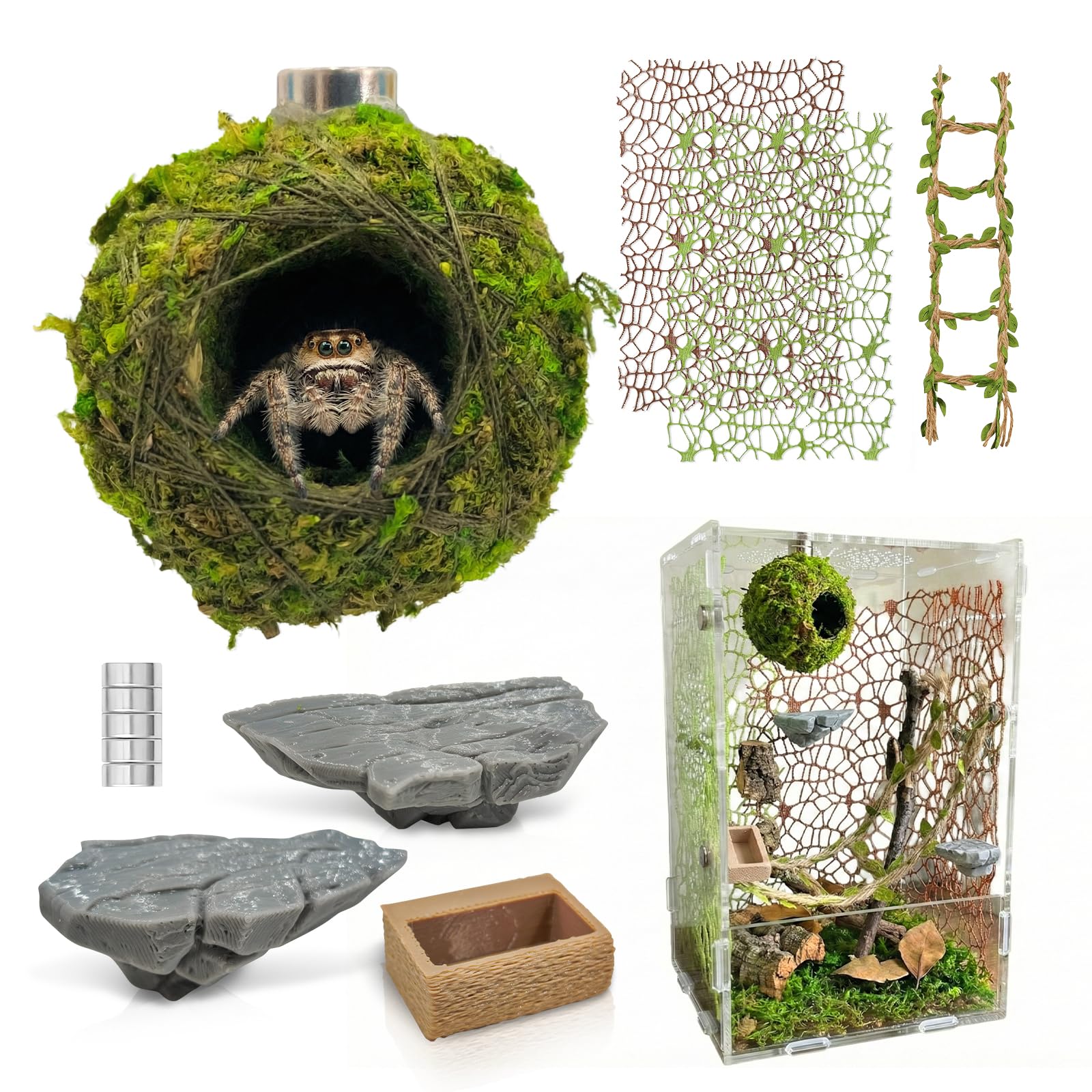 Funtinshdy Jumping Spider Enclosure Accessories Kit - habitat decor | Mubboo