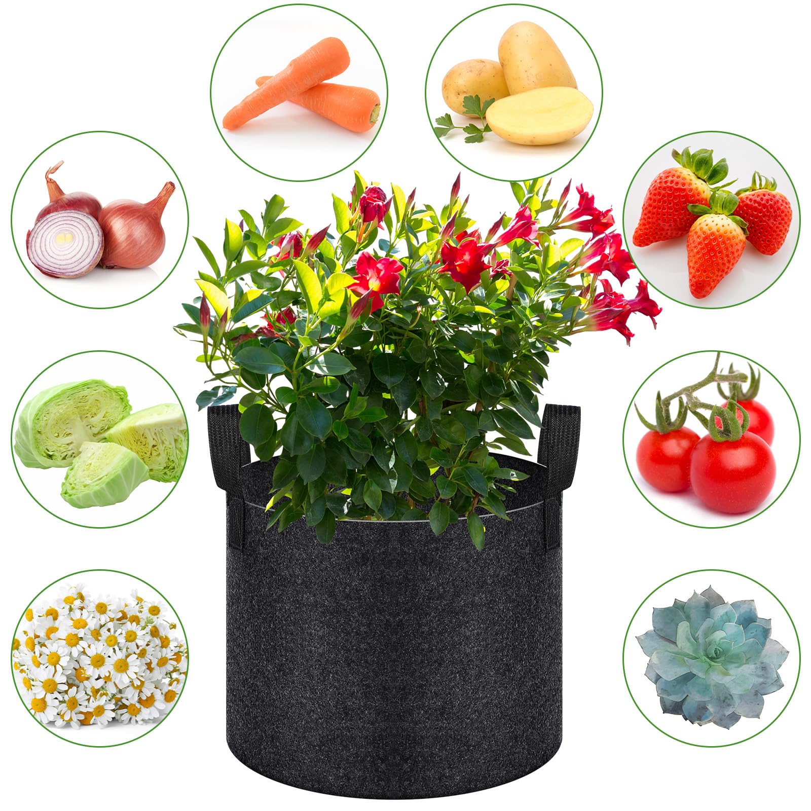 Tanlade Lot de 12 sacs de culture pour légumes, fleurs, plantes en vrac, très résistants, en tissu aéré épais, avec 12 étiquettes pour plantes avec poignées, sacs de culture de pommes de terre,