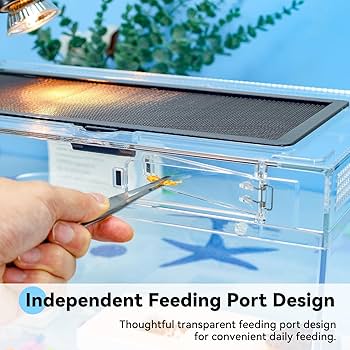 Amazon.com : 12x7x6 Turtle Tank Kit A High-Definition