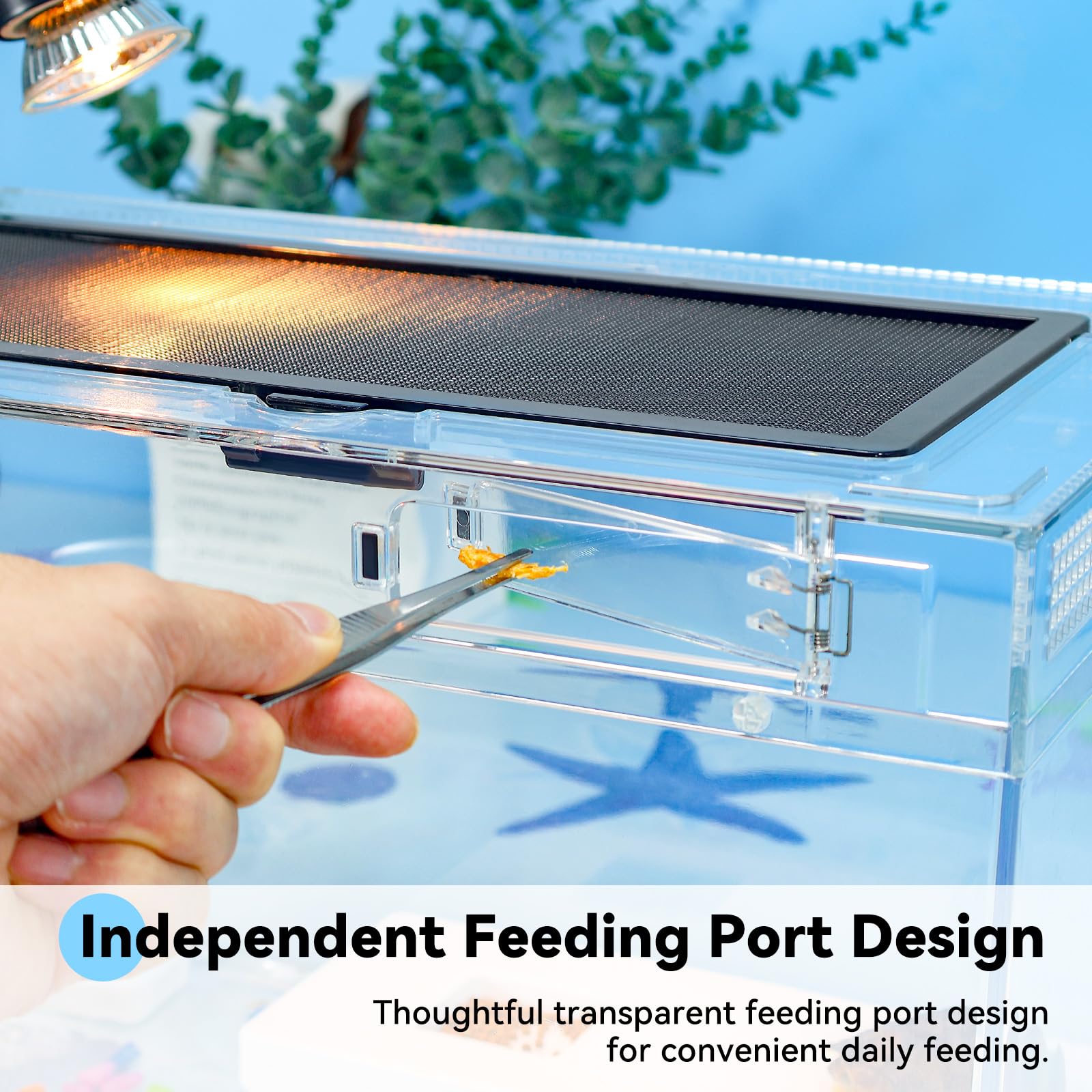 RunDuck Kit de pecera para tortugas de 12 x 7 x 6 Un acuario para tortugas de alta definición con lámpara de calefacción, filtro, ventilación avanzada, resistencia a altas temperaturas, accesorios com