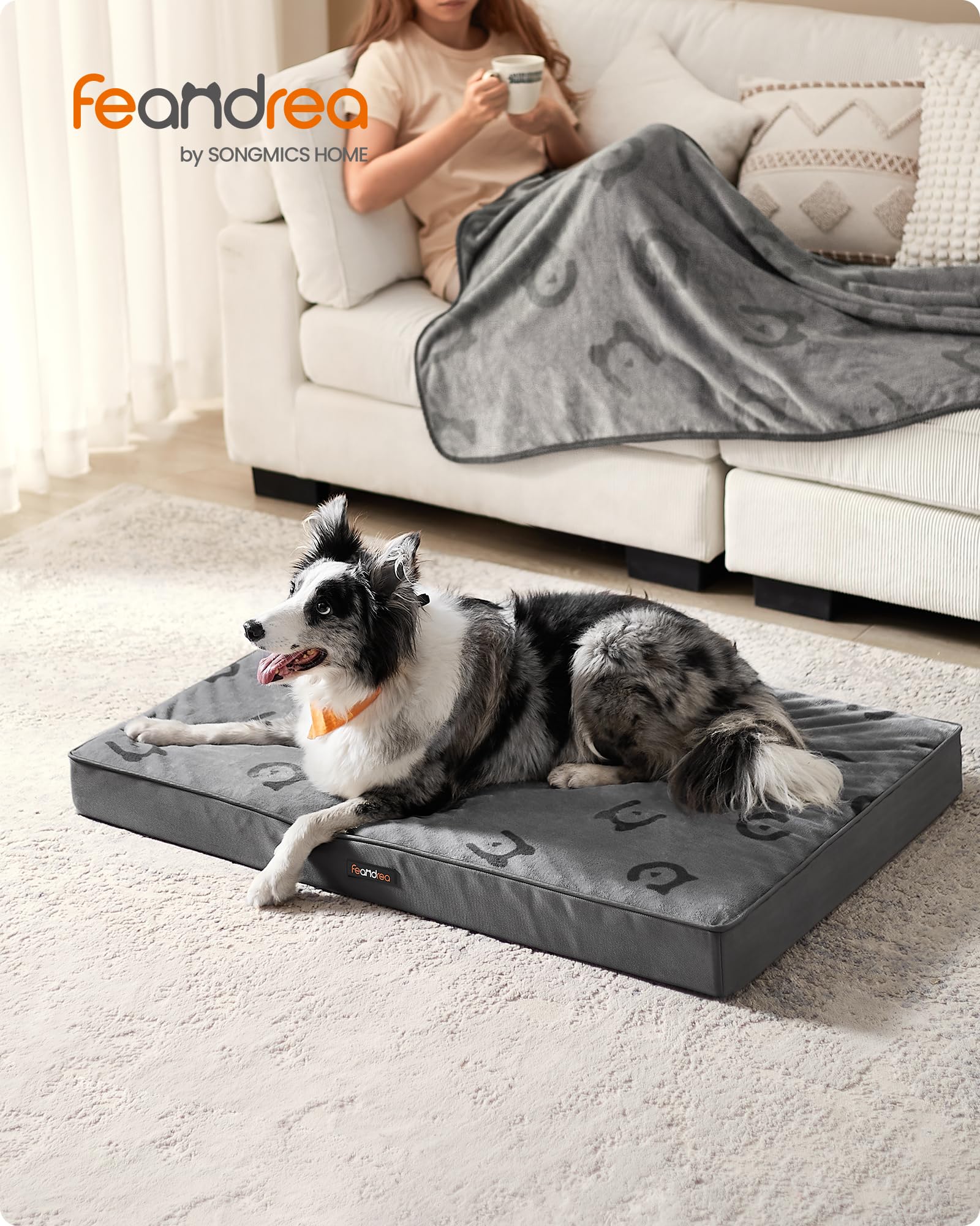 Feandrea Cama para Perros, Cama para Mascotas, Espuma Corrugada Preformada, con Asa, Extraíble, Doble Cara, Impermeable, Talla XL, 105 x 73 x 10 cm, Gris Paloma PGW243G01