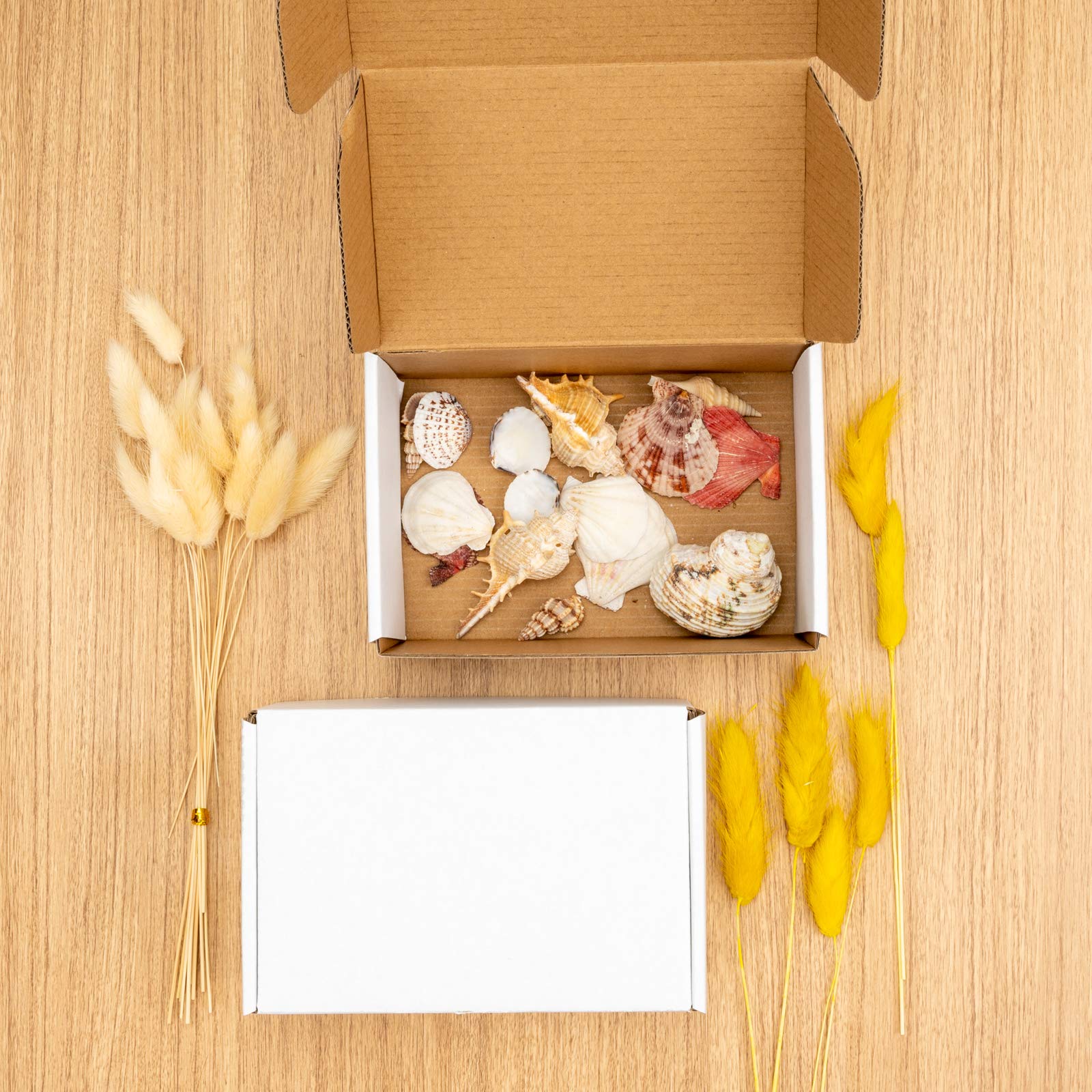 BIOBROWN 9x6.5x2.75" 25 Pack Corrugated Cardboard Boxes Small Shipping Box for Packaging Small Business Mailer Mailing White