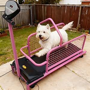 Tapis Roulant per Cani di Piccola Taglia, Tapis Cane con Timer da 1-99 Minuti/velocità Regolabile da 0,8-6 Km/H/Display LCD, Tapis Roulant Dog Pacer per Cani di Peso Inferiore a 12kg