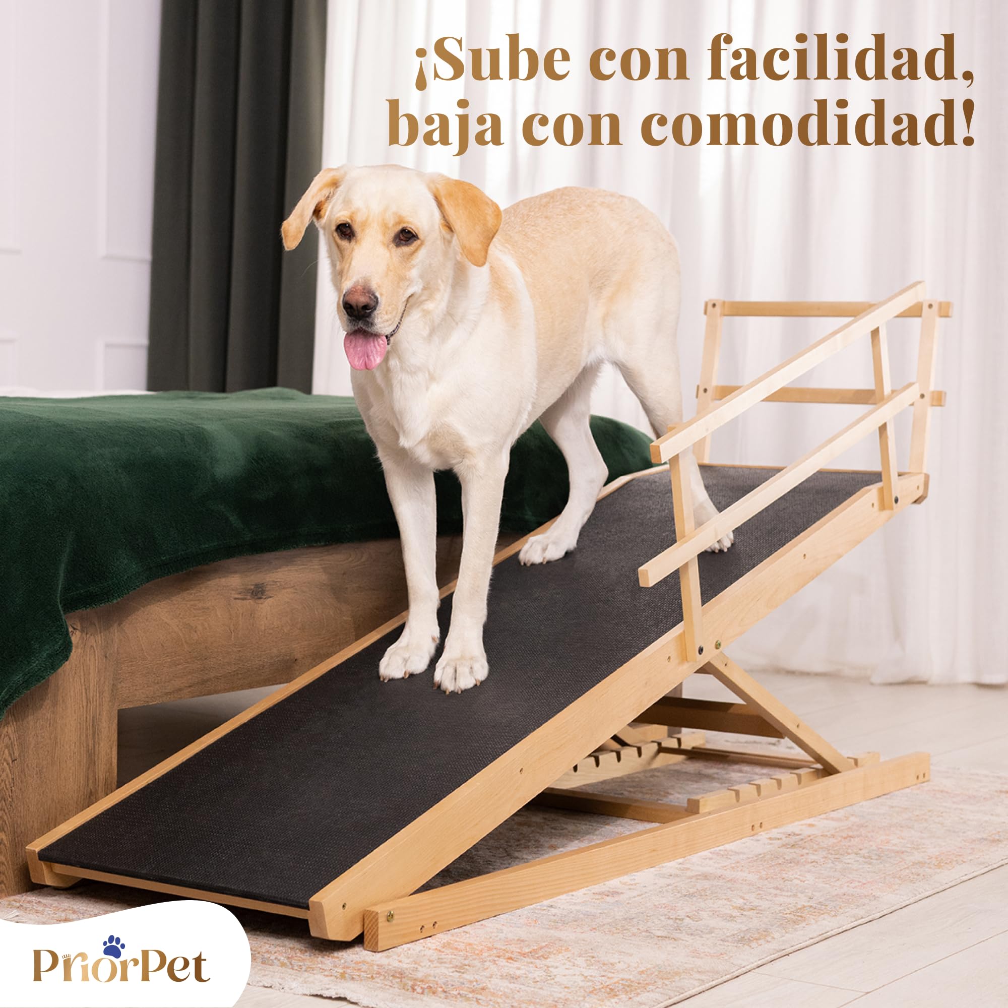 Arenero Acero Inoxidable Gatos – Caja de Arena para Gatos XXL – Capacidad de 38 L – Superficie Antiadherente – Sin olores y Antiadherente – Incluye Pala para Arena y Alfombrilla – 60 × 40 × 32 cm