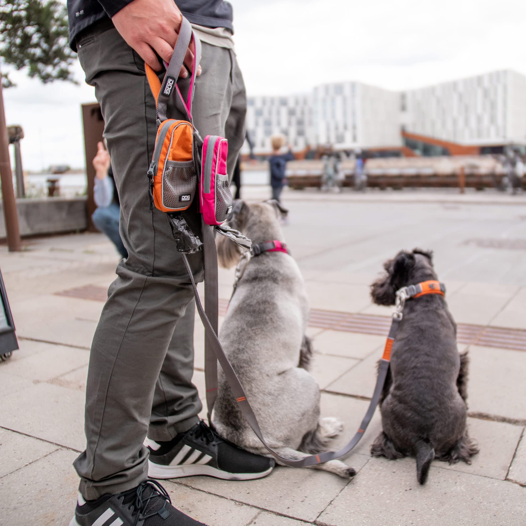 DOG Copenhagen Hundeleine V2 Urban Trail Leash Wild Rose Größe S