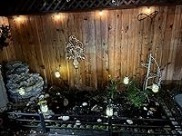 Review Image by Kyle Kyle