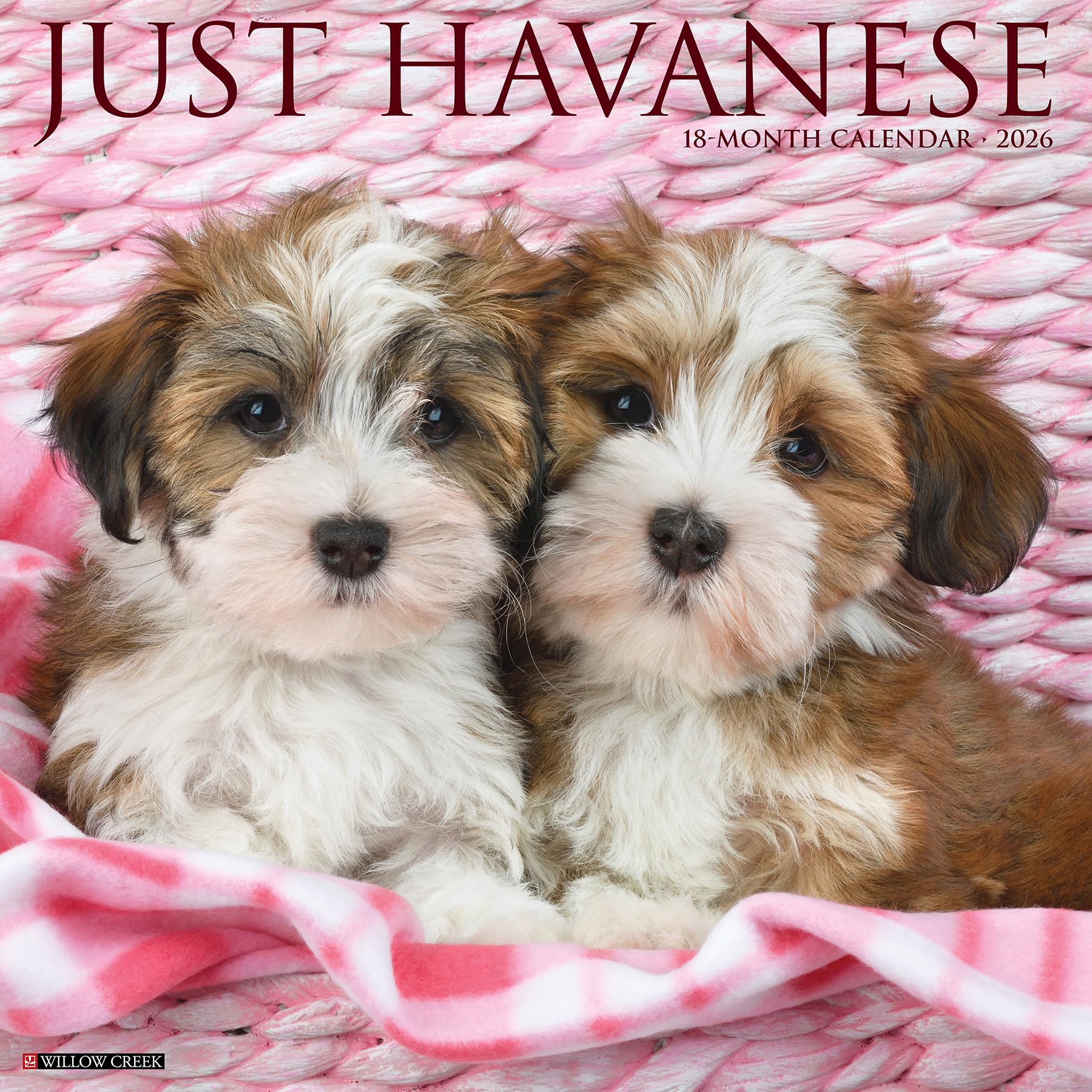 Havanese 2026 12 X 12 Wall Calendar