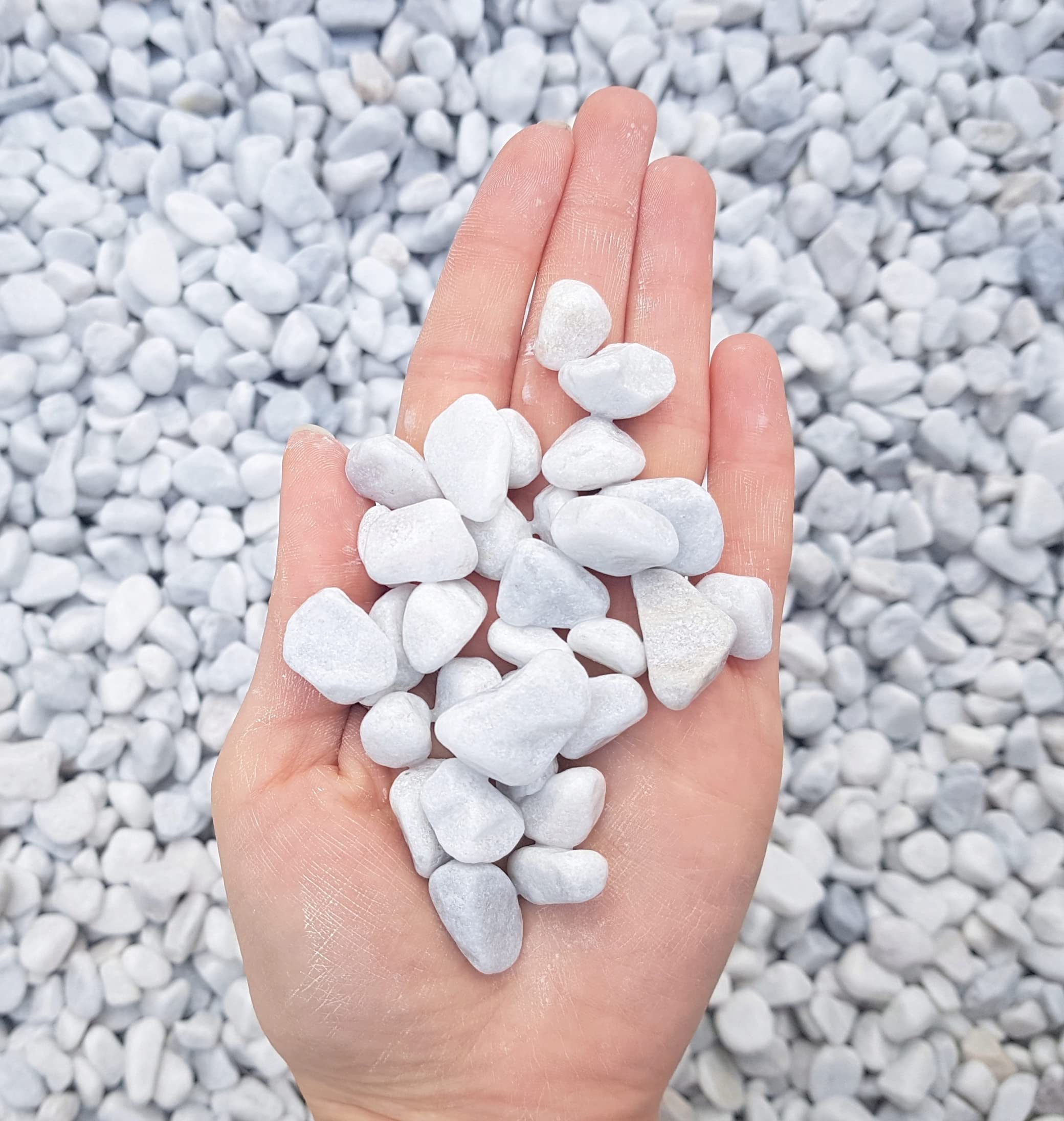Marble gravel Carrara gravel Marble pure white snow-white ornamental gravel Garden gravel Pond gravel Decorative path gravel Path stones Garden path 20 kg sack, grain size 12-18 mm (120)