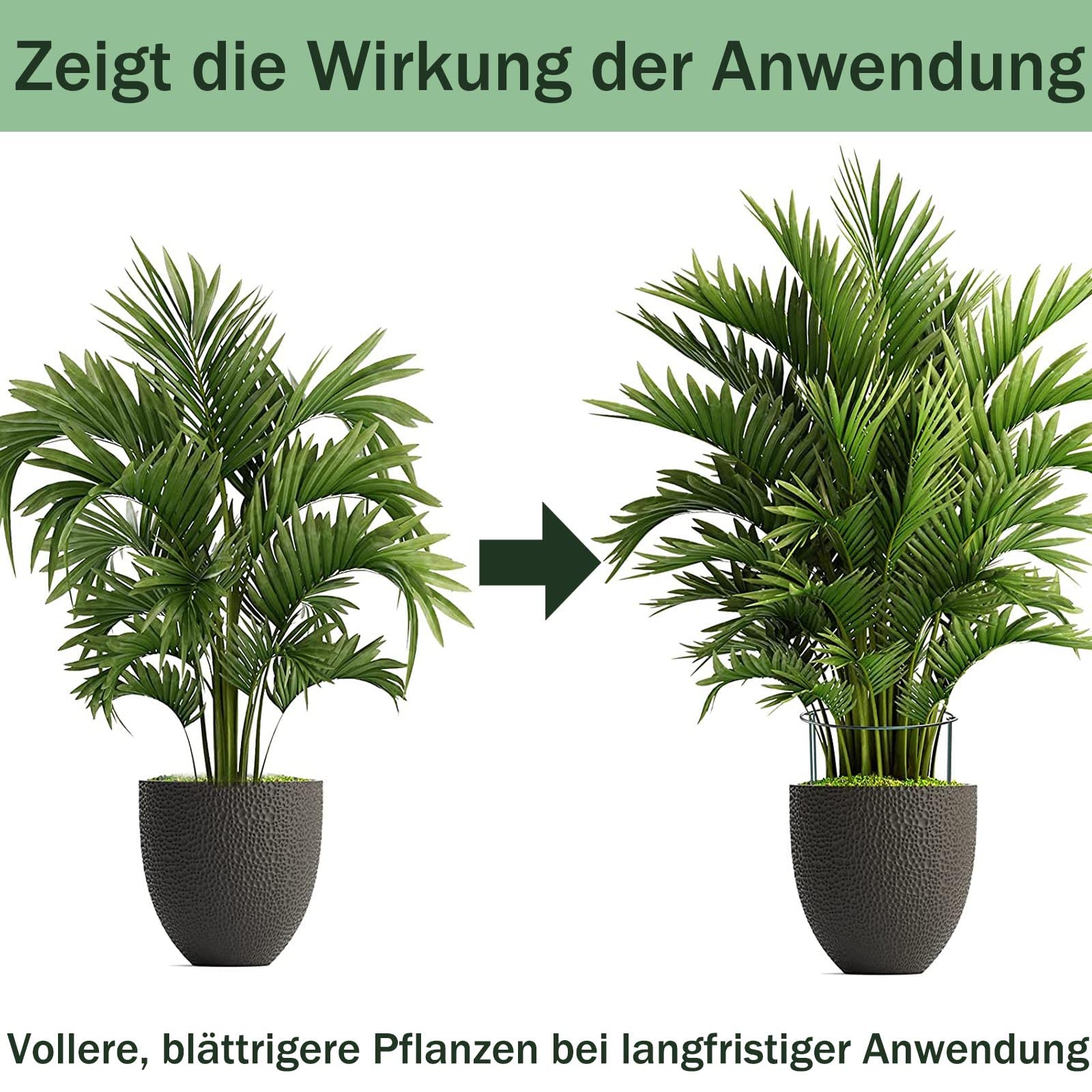 10Stück pflanzenstütze, ASSUGO staudenhalter rund aus beschichtetem Stahl, Metall Garden Halbrund Stützring käfighalter Rankhilfe Klettergitter für Pflanzenanbau Grenzstütze(25 * 40cm)