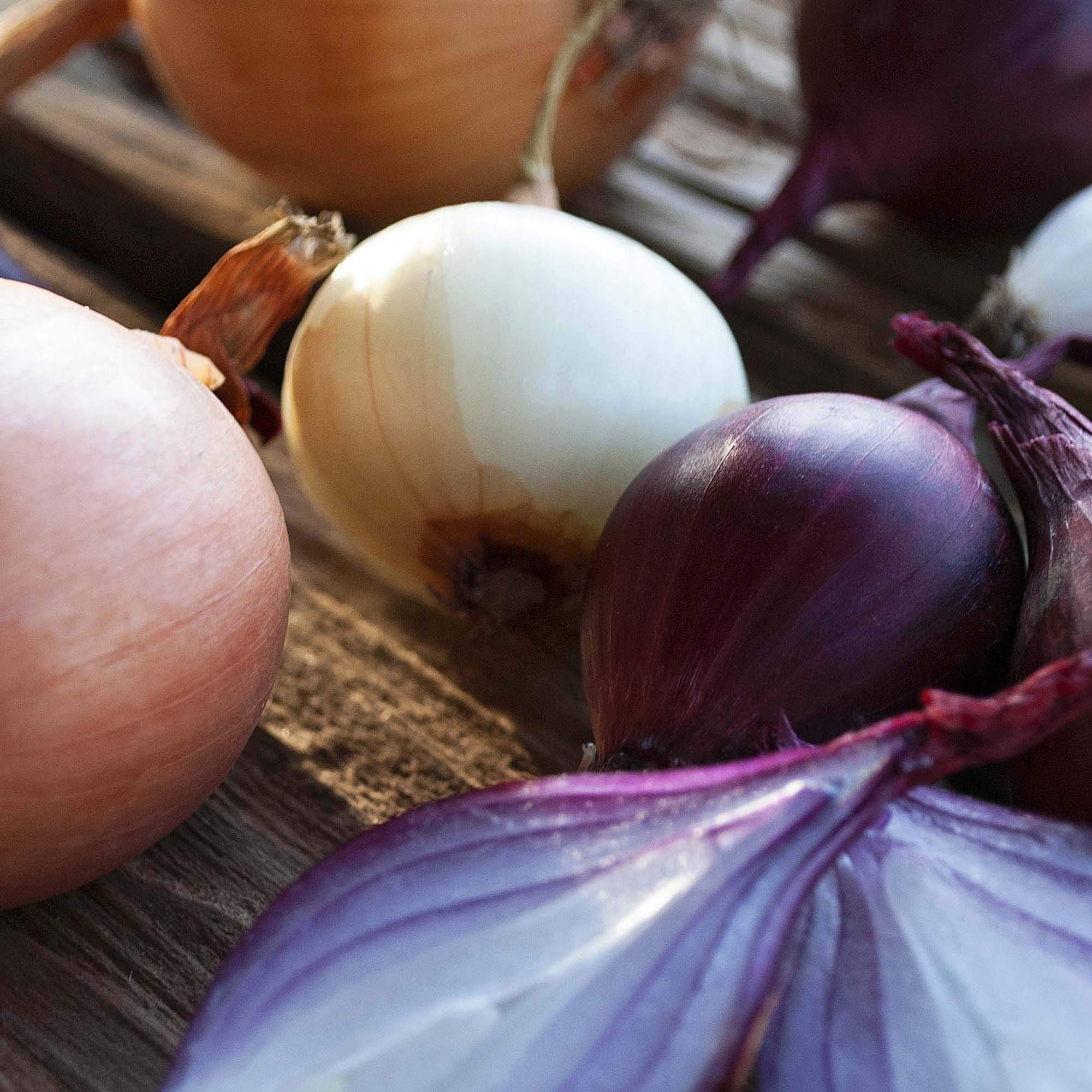 Gemüse und Kräuter im Garten - Naturnah gärtnern: alles, was man als Selbstversorger wissen muss + Für Garten und Balkon + Sortenkunde, Steckbriefe, Tipps für den Eigenanbau - nachhaltig, biologisch