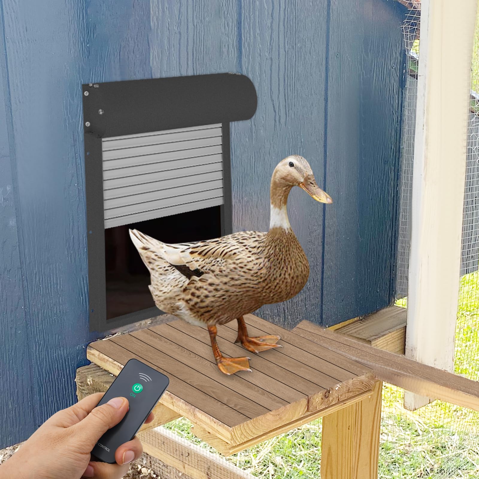 Puerta de pollo automática solar con pantalla LCD, 24,5 x 37 cm, tapa eléctrica con mando a distancia y temporizador, sensor de luz para su gallinero (negro)