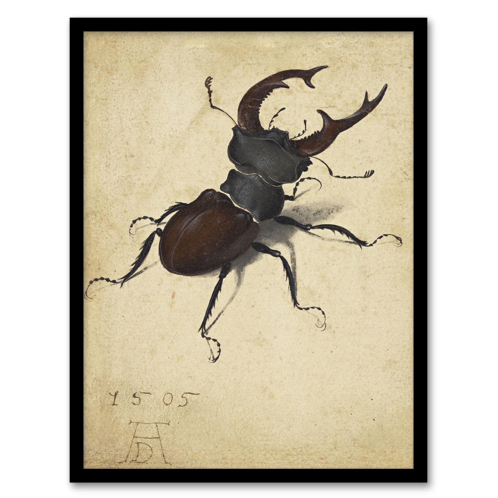 Artery8 Beige Albrecht Durer Stag Beetle Nature Study Painting Artwork Framed Wall Art Print A4