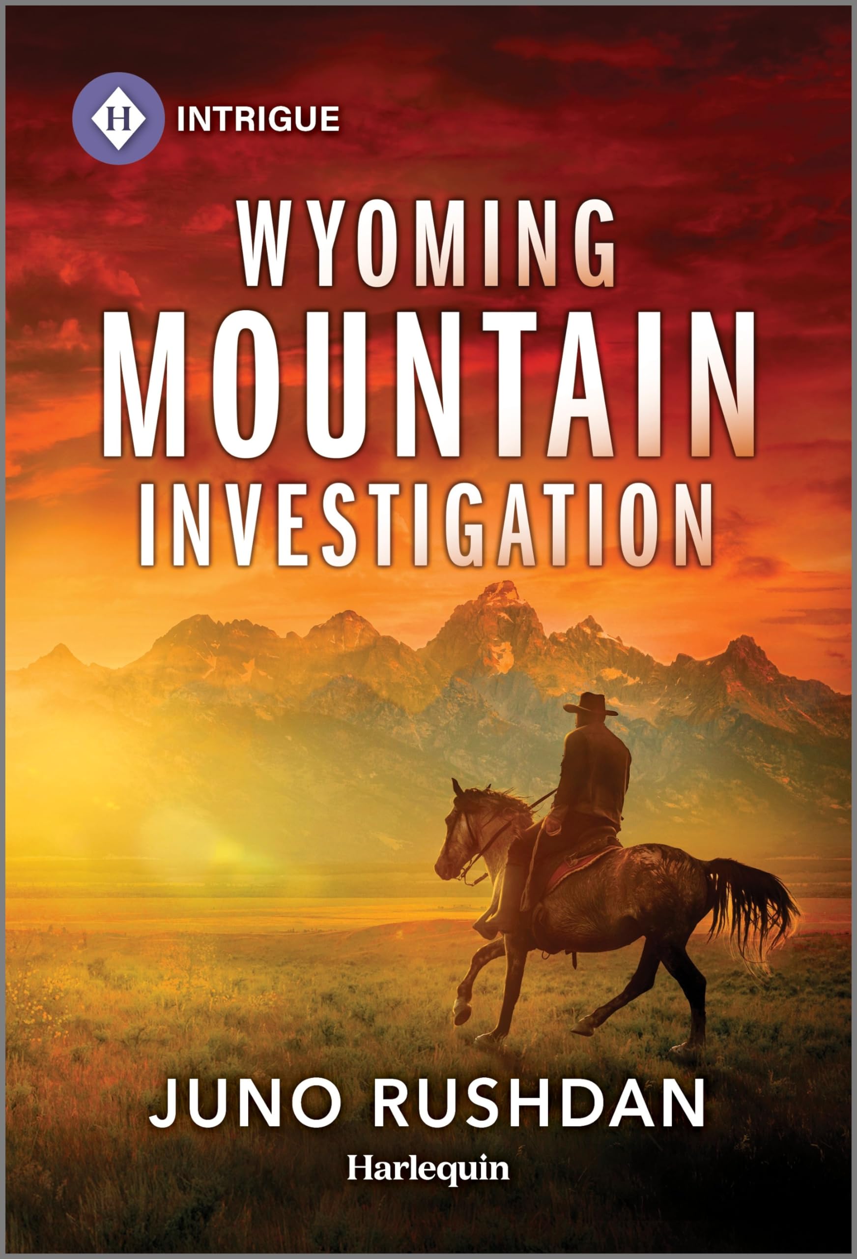 Wyoming Mountain Investigation (Cowboy State Lawmen: Duty and Honor Book 1)